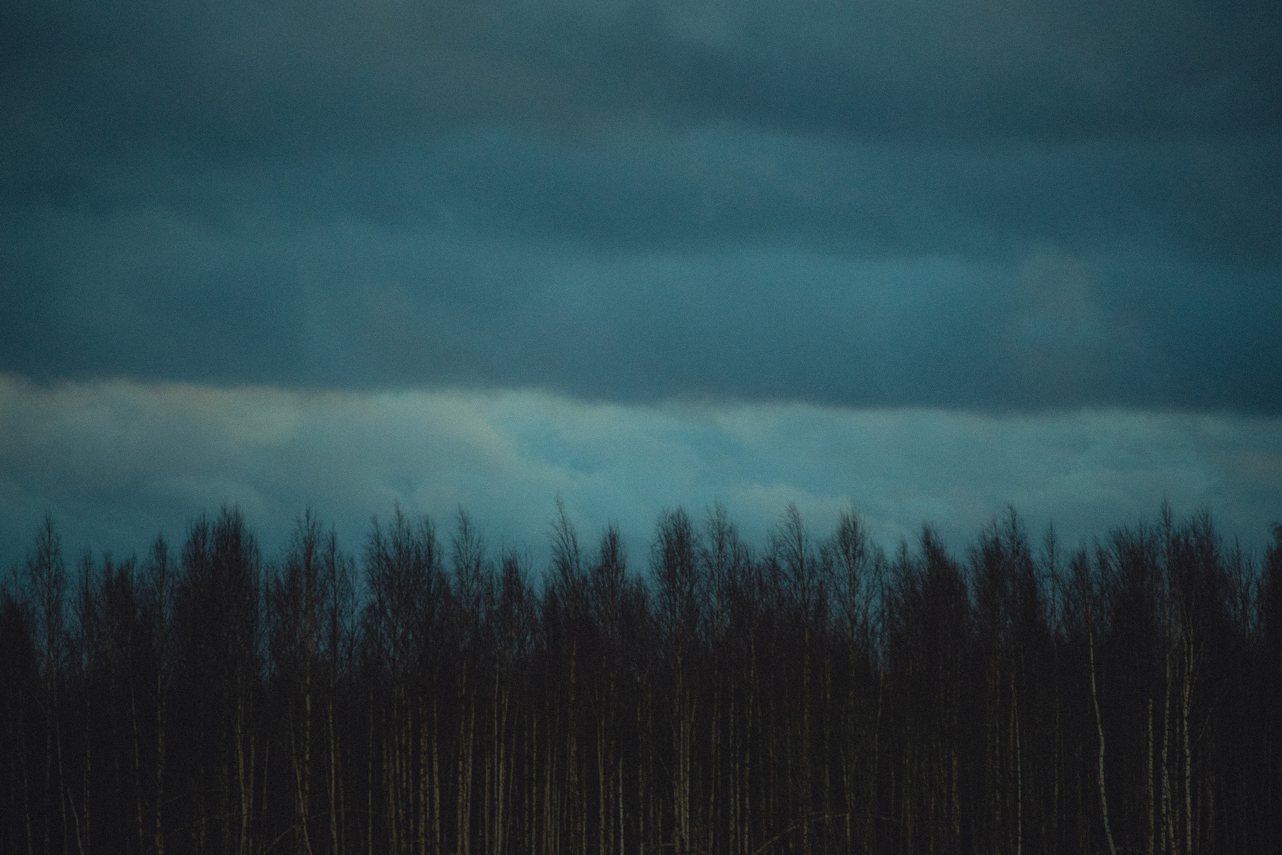 История в зимней деревне. Фотограф в Санкт-Петербурге