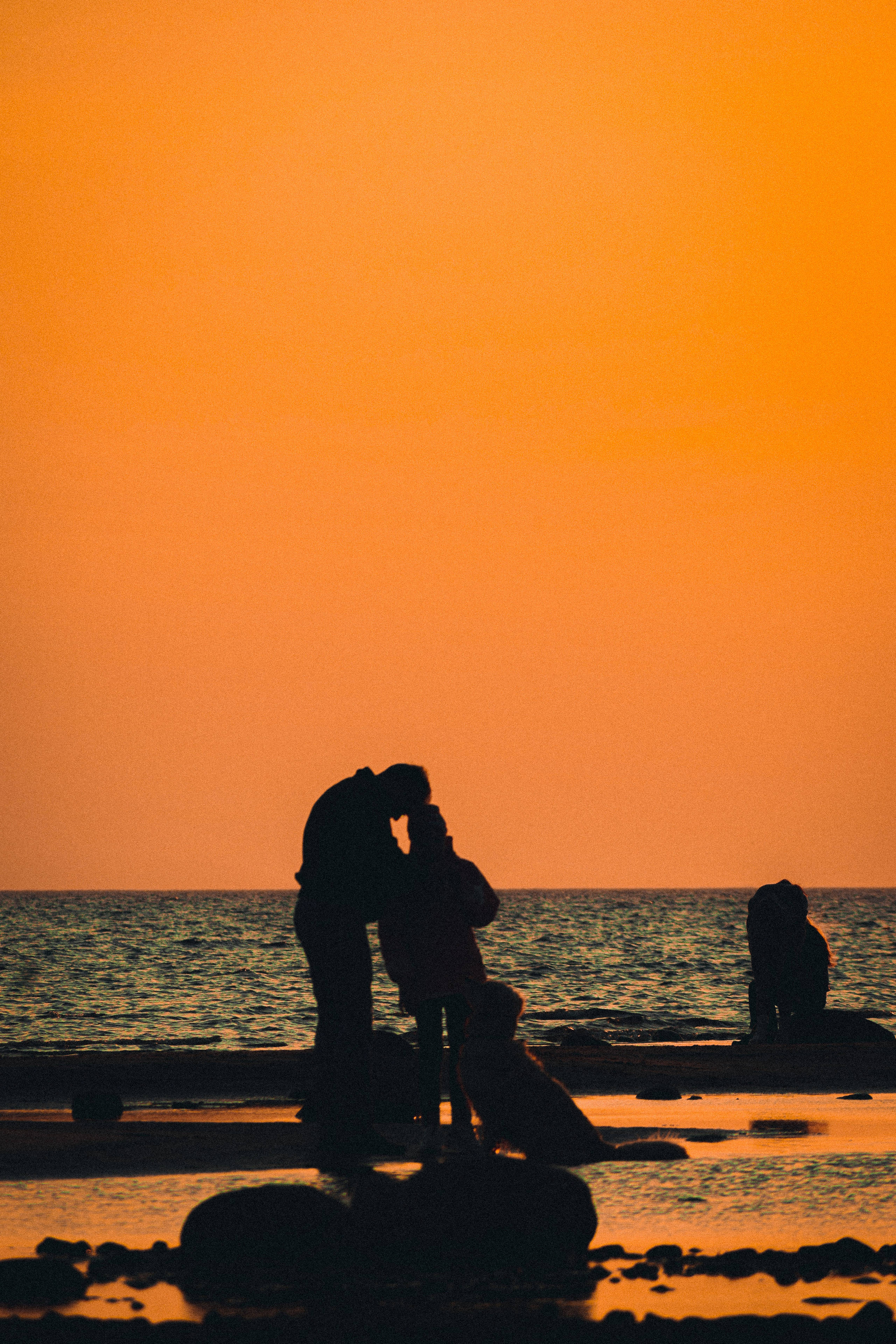 Осень. История в Комарово. Фотограф в Санкт-Петербурге Дмитрий Скородумов