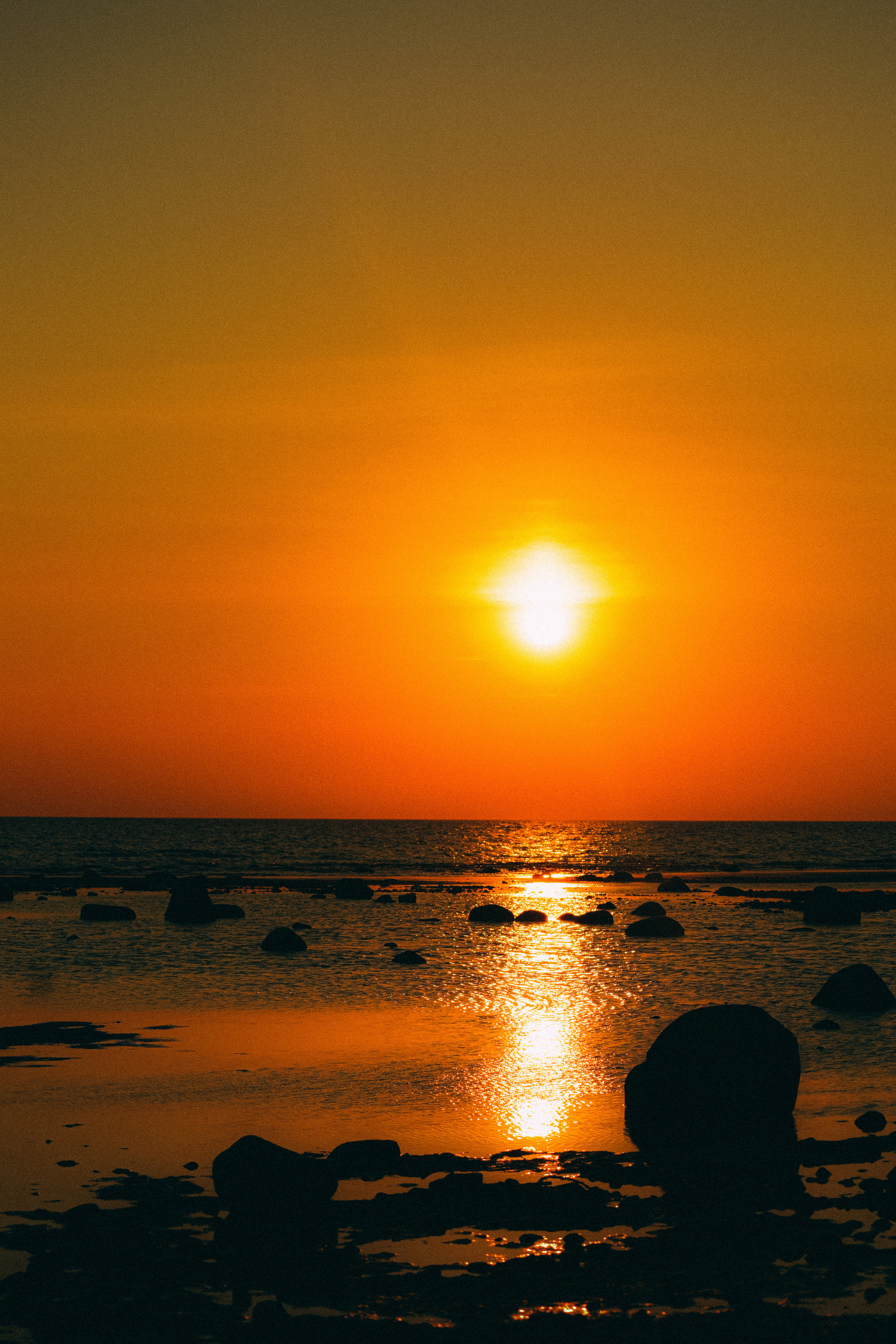 Осень. История в Комарово. Фотограф в Санкт-Петербурге Дмитрий Скородумов