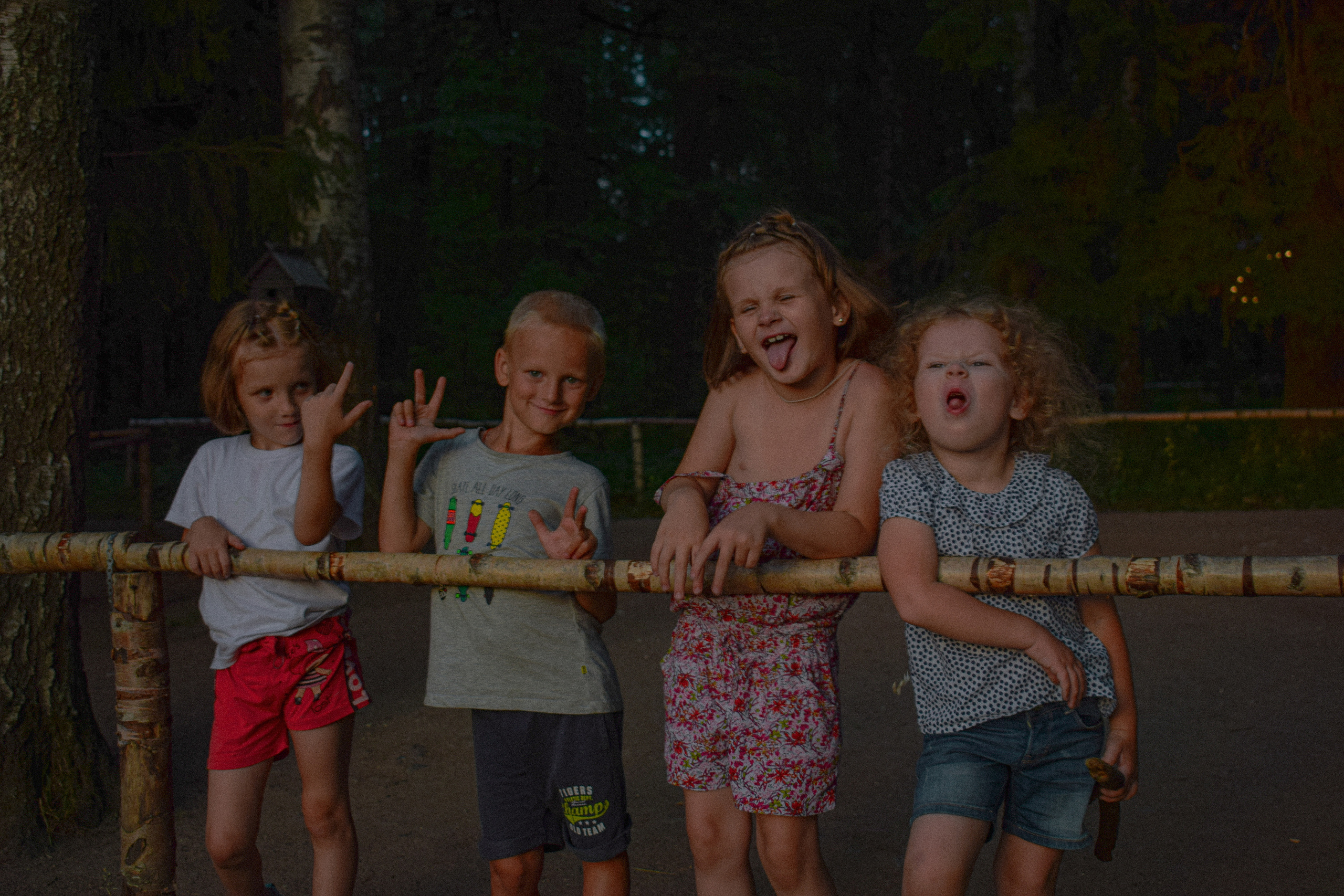 История в Павловском парке. Фотограф в Санкт-Петербурге
