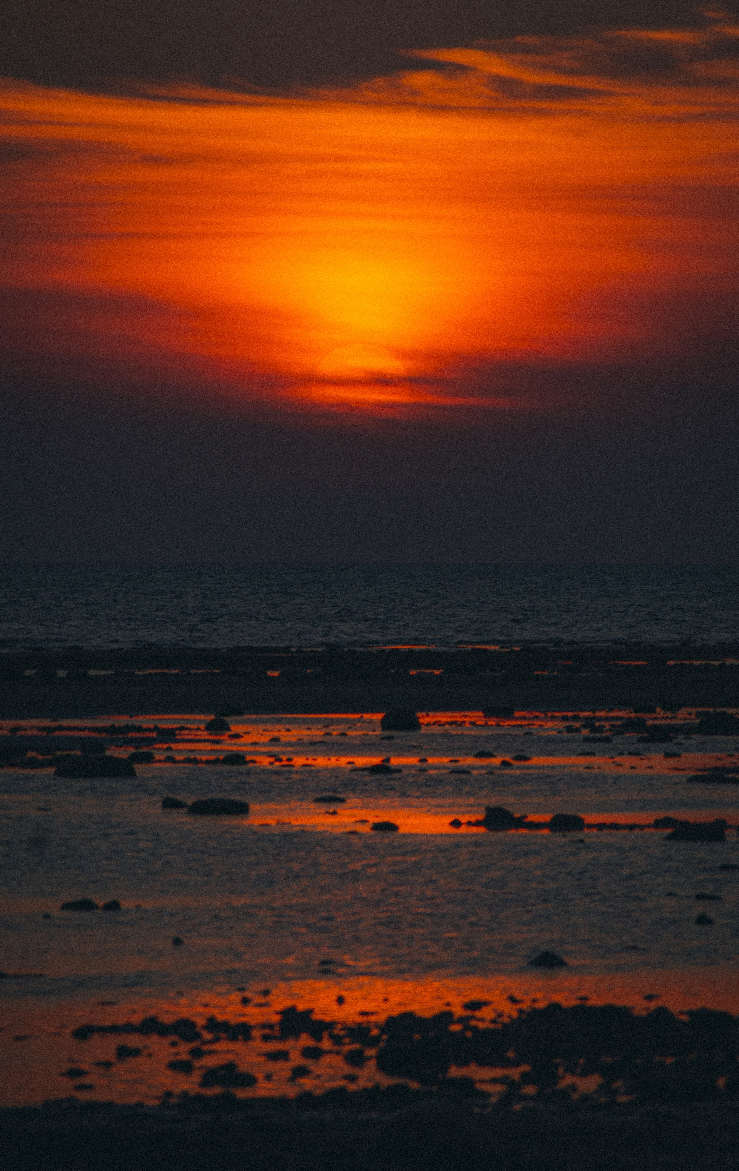Осень. История в Комарово. Фотограф в Санкт-Петербурге Дмитрий Скородумов