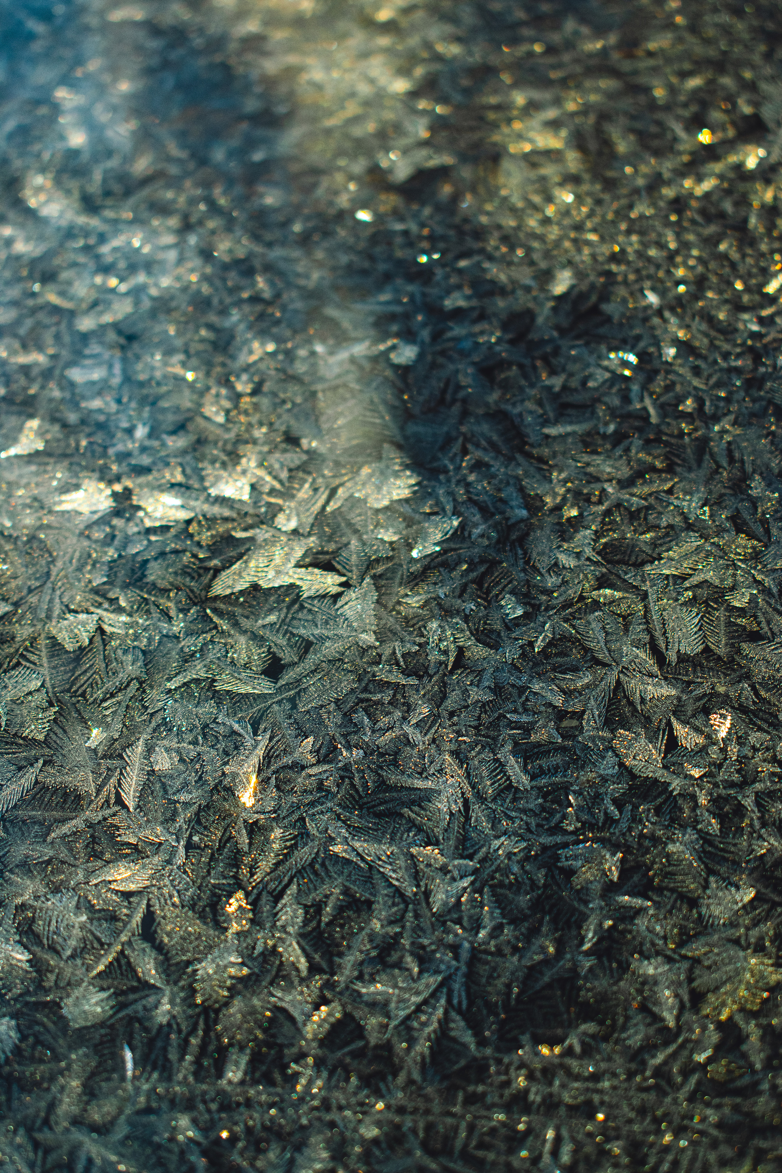 История в зимней деревне. Фотограф в Санкт-Петербурге