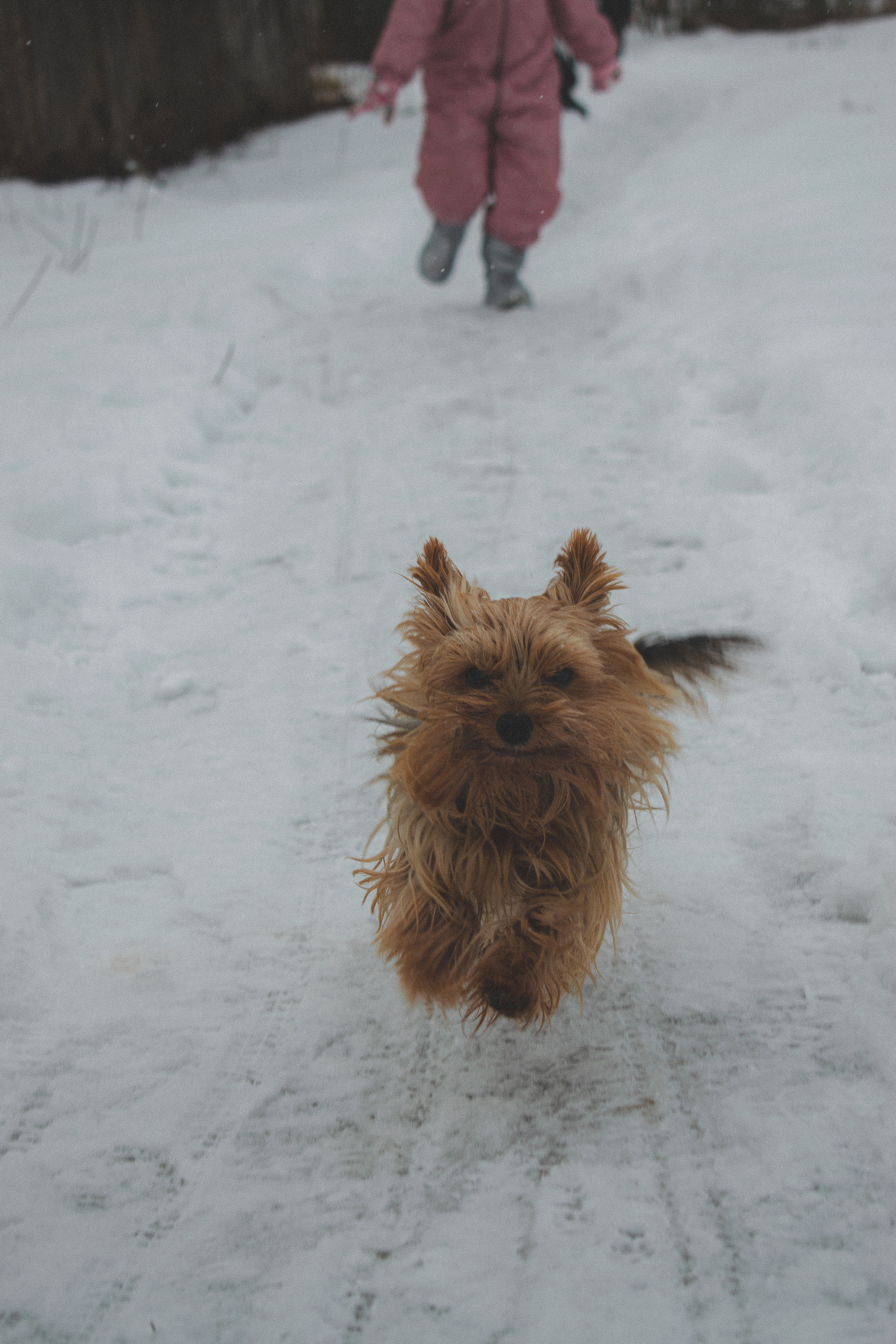 История в зимней деревне. Фотограф в Санкт-Петербурге