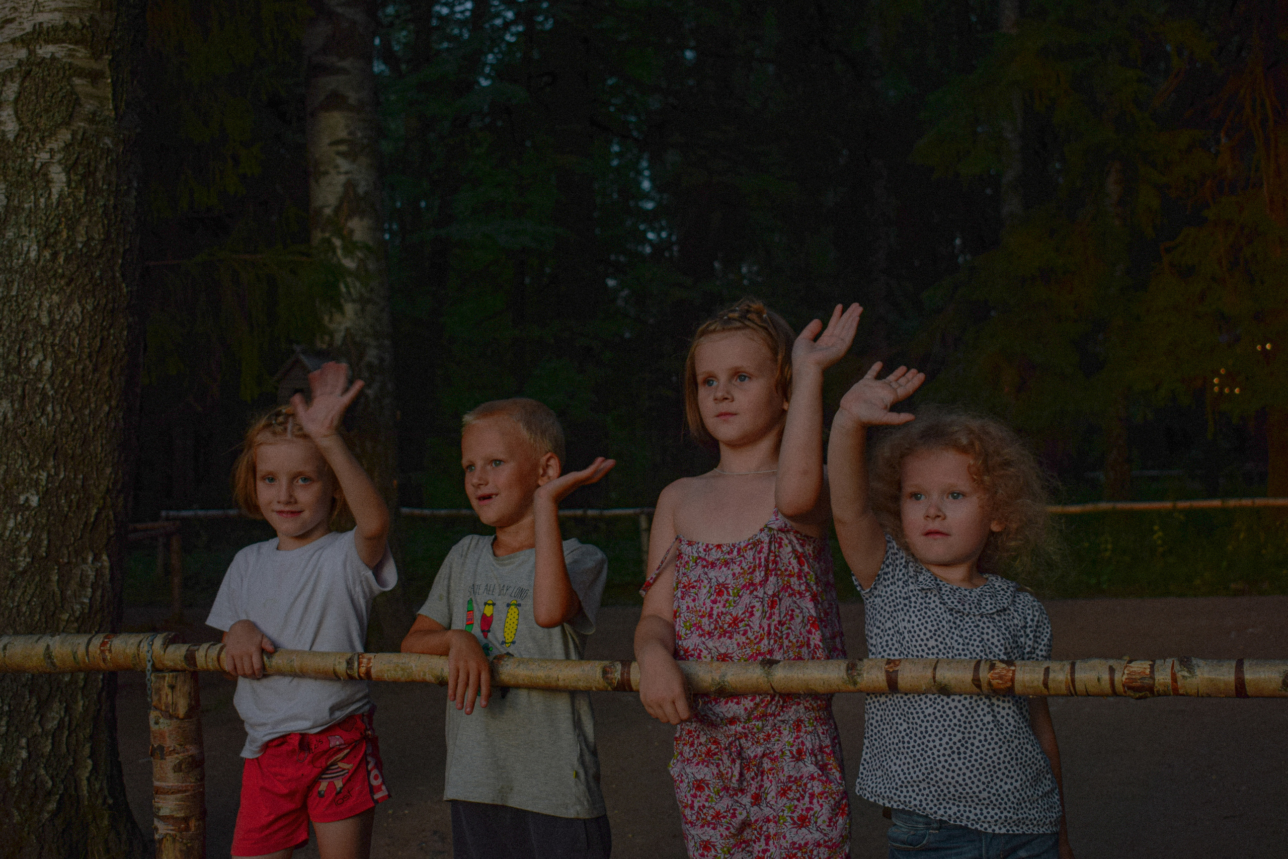 История в Павловском парке. Фотограф в Санкт-Петербурге