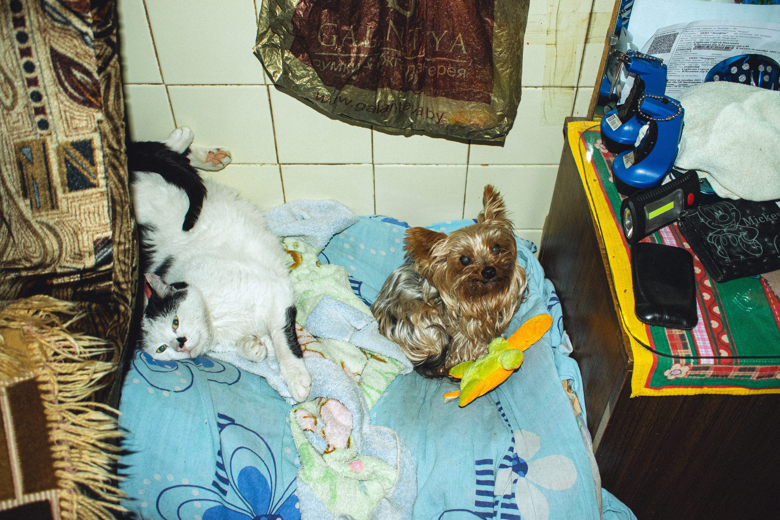 История в зимней деревне. Фотограф в Санкт-Петербурге