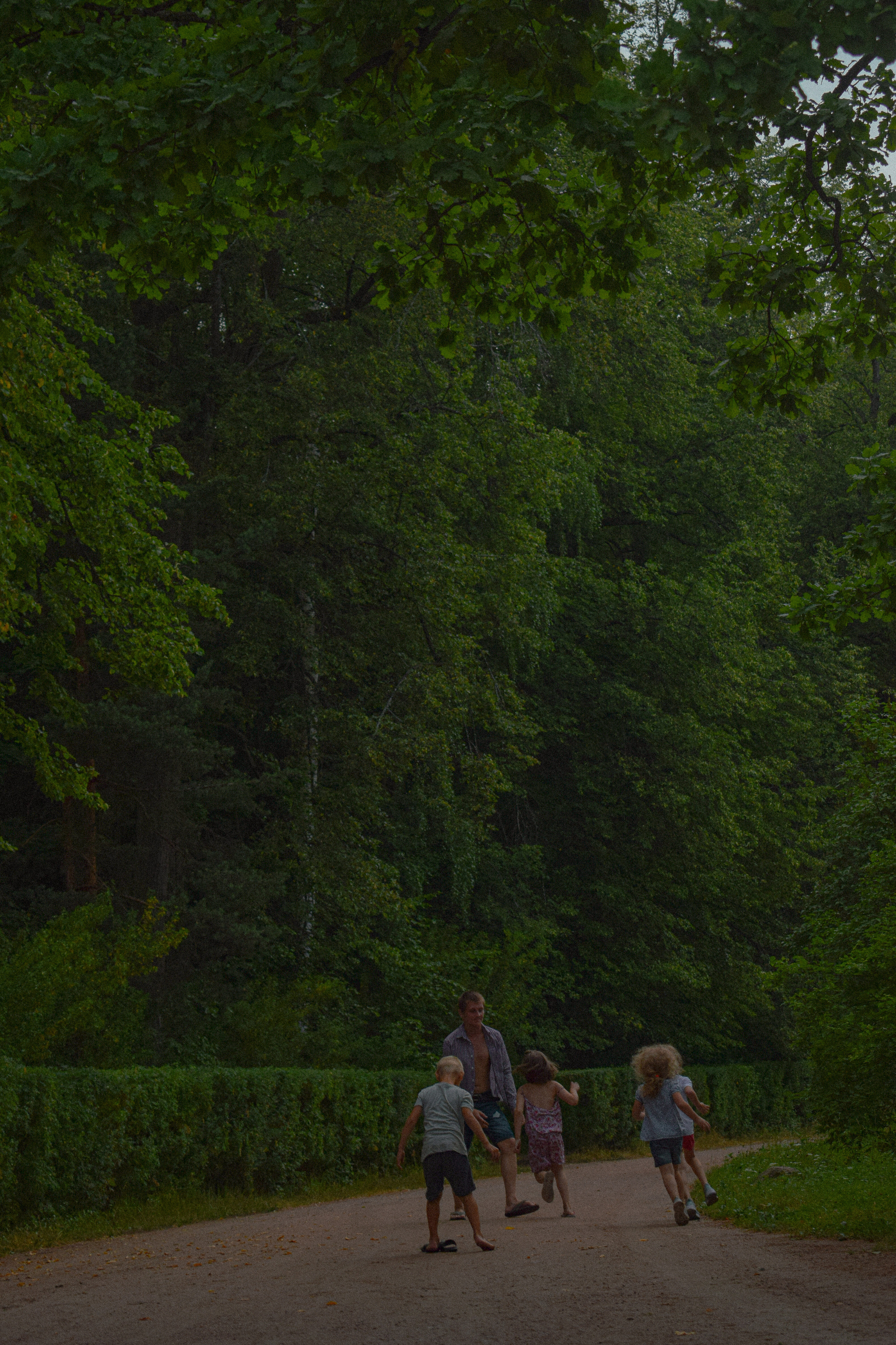 История в Павловском парке. Фотограф в Санкт-Петербурге