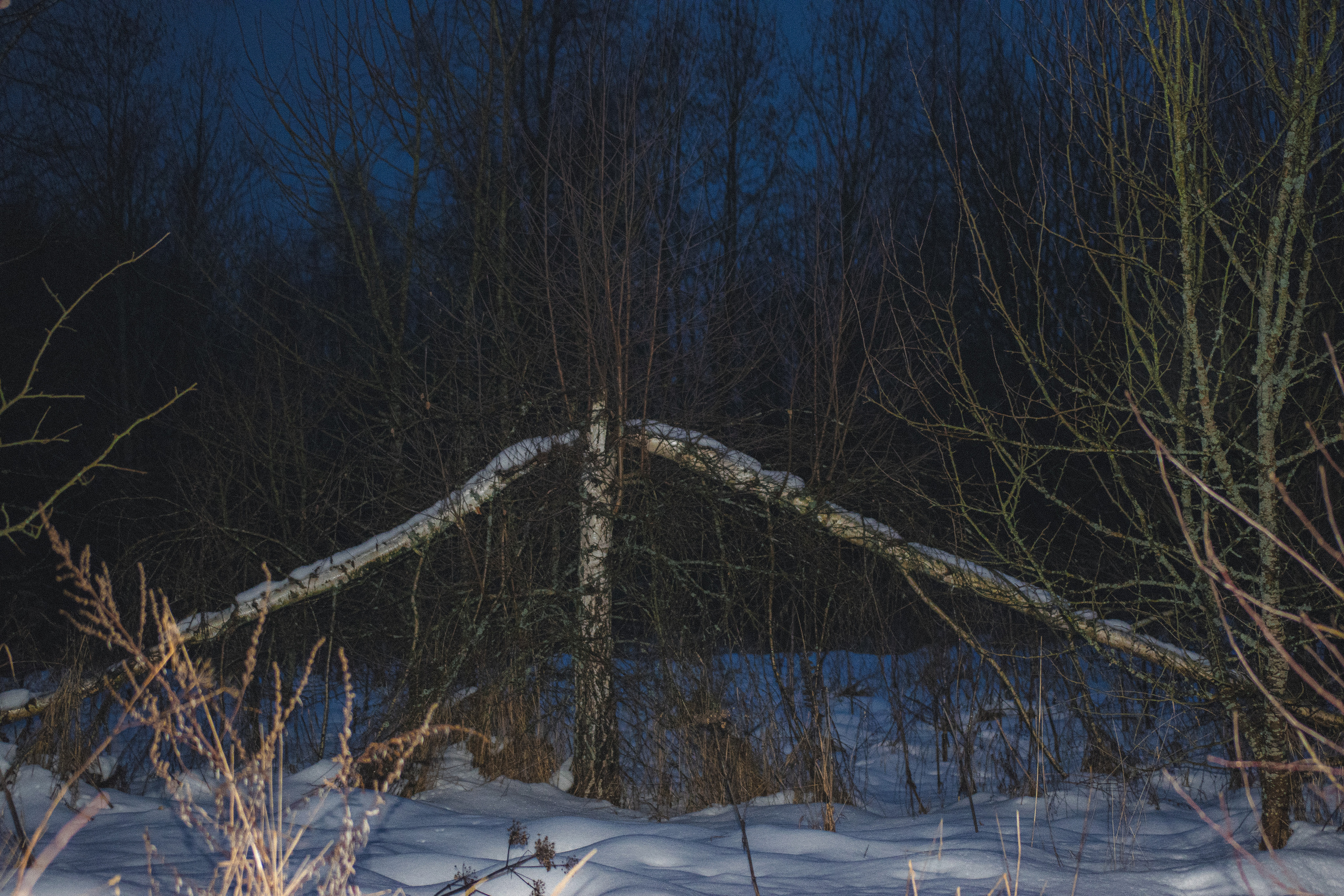 История в зимней деревне. Фотограф в Санкт-Петербурге