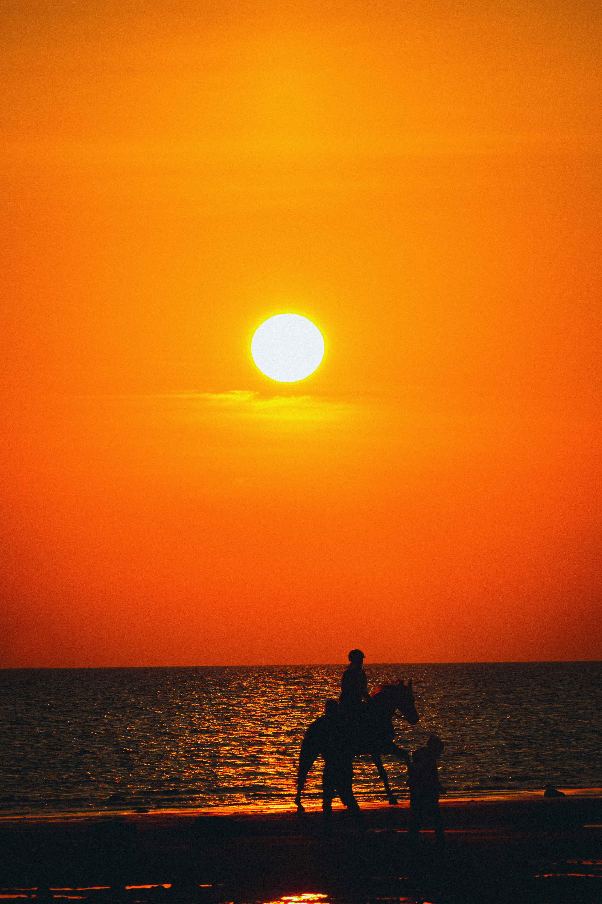 Осень. История в Комарово. Фотограф в Санкт-Петербурге Дмитрий Скородумов