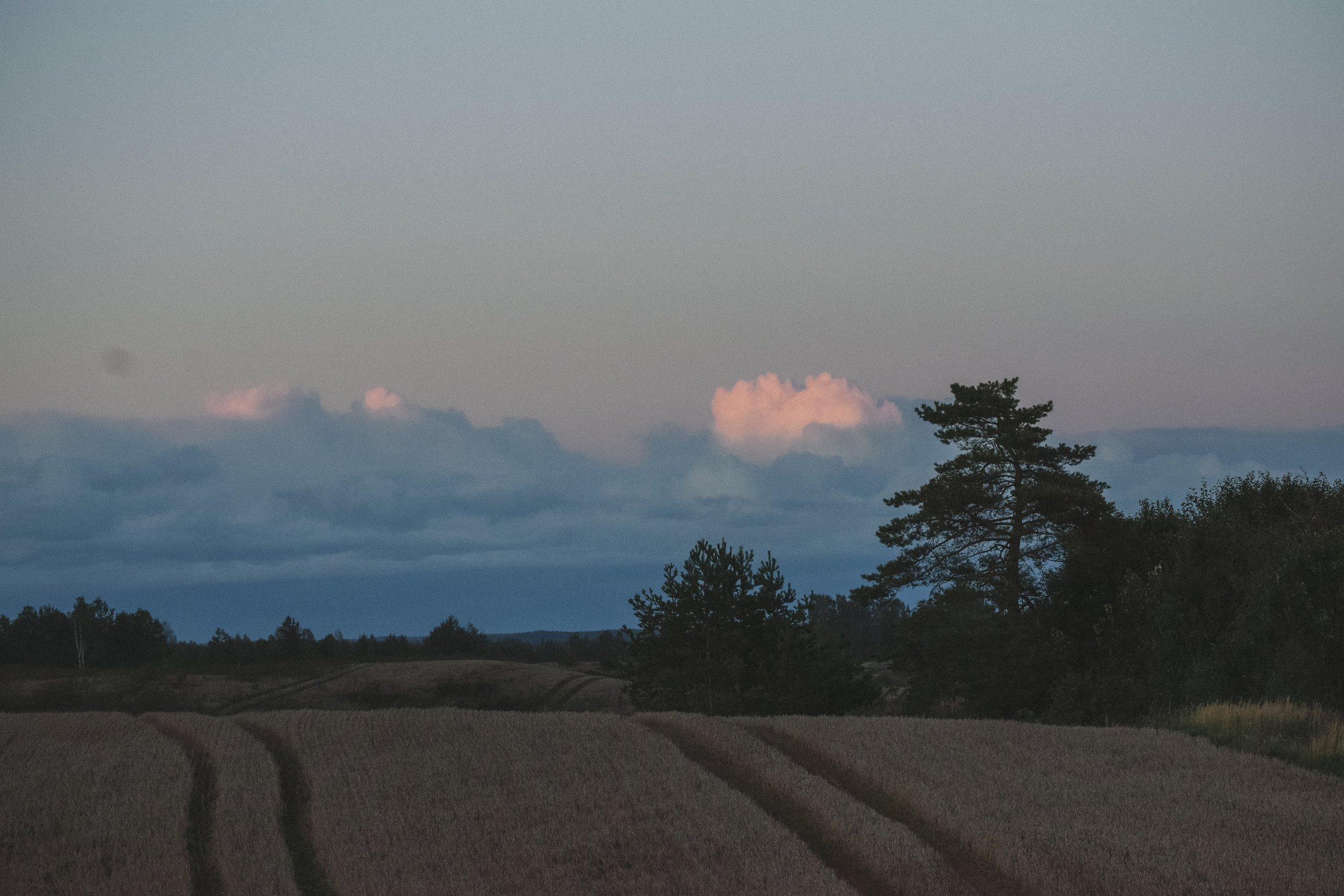 LANDSCAPES. Фотограф в Санкт-Петербурге