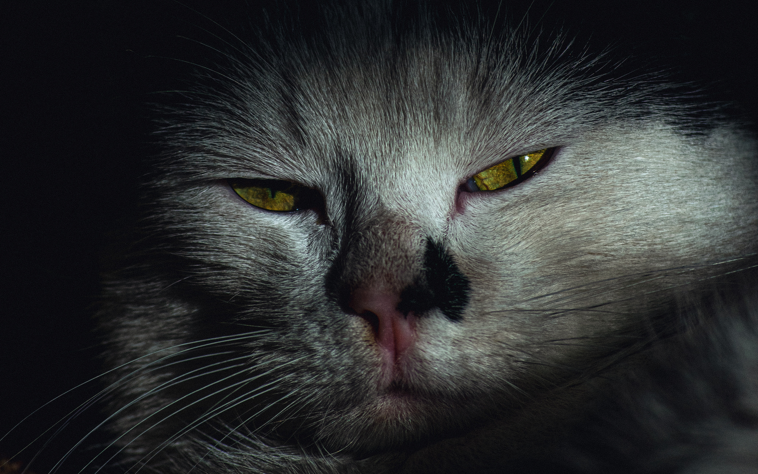 История в зимней деревне. Фотограф в Санкт-Петербурге