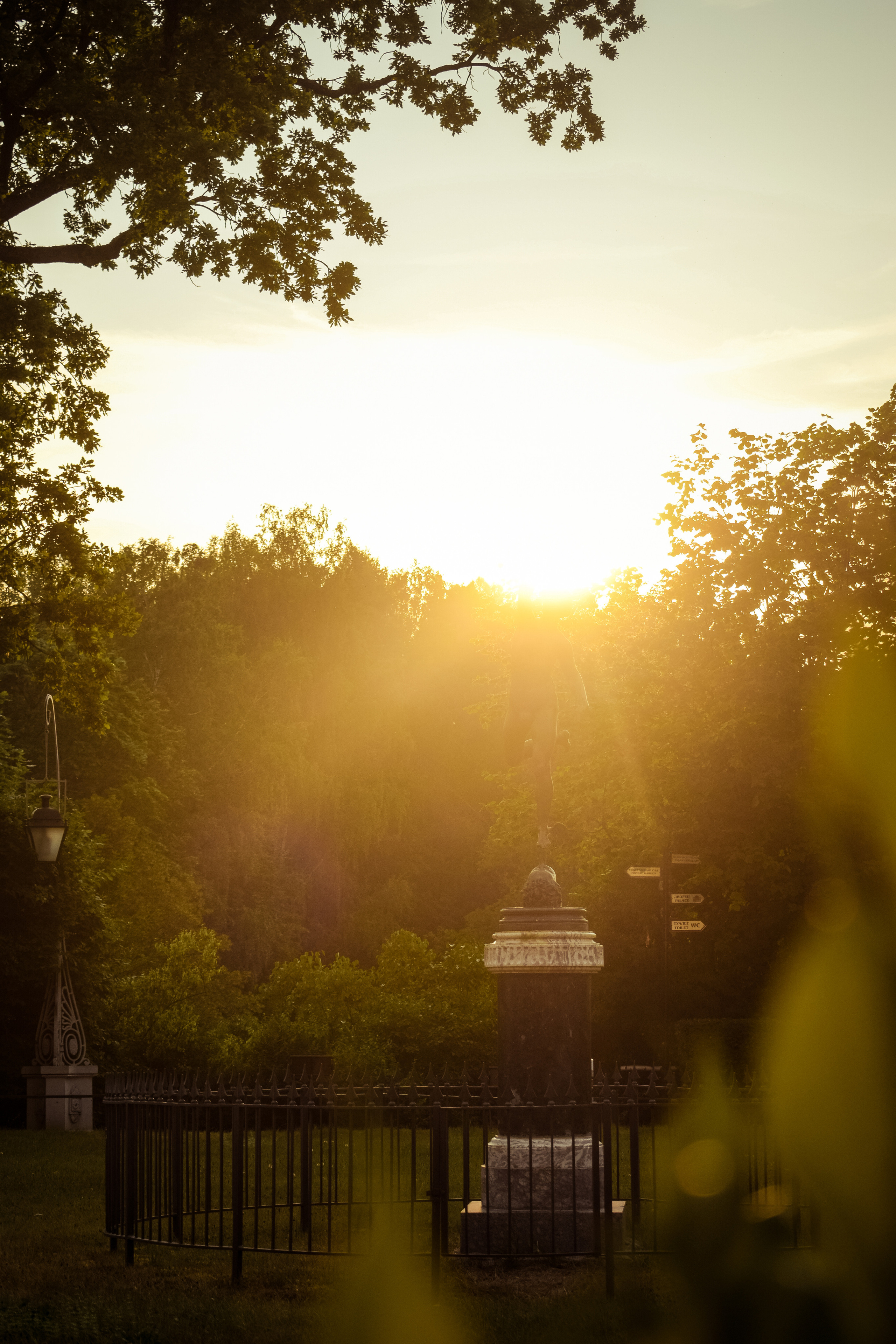 История в Павловском парке. Фотограф в Санкт-Петербурге