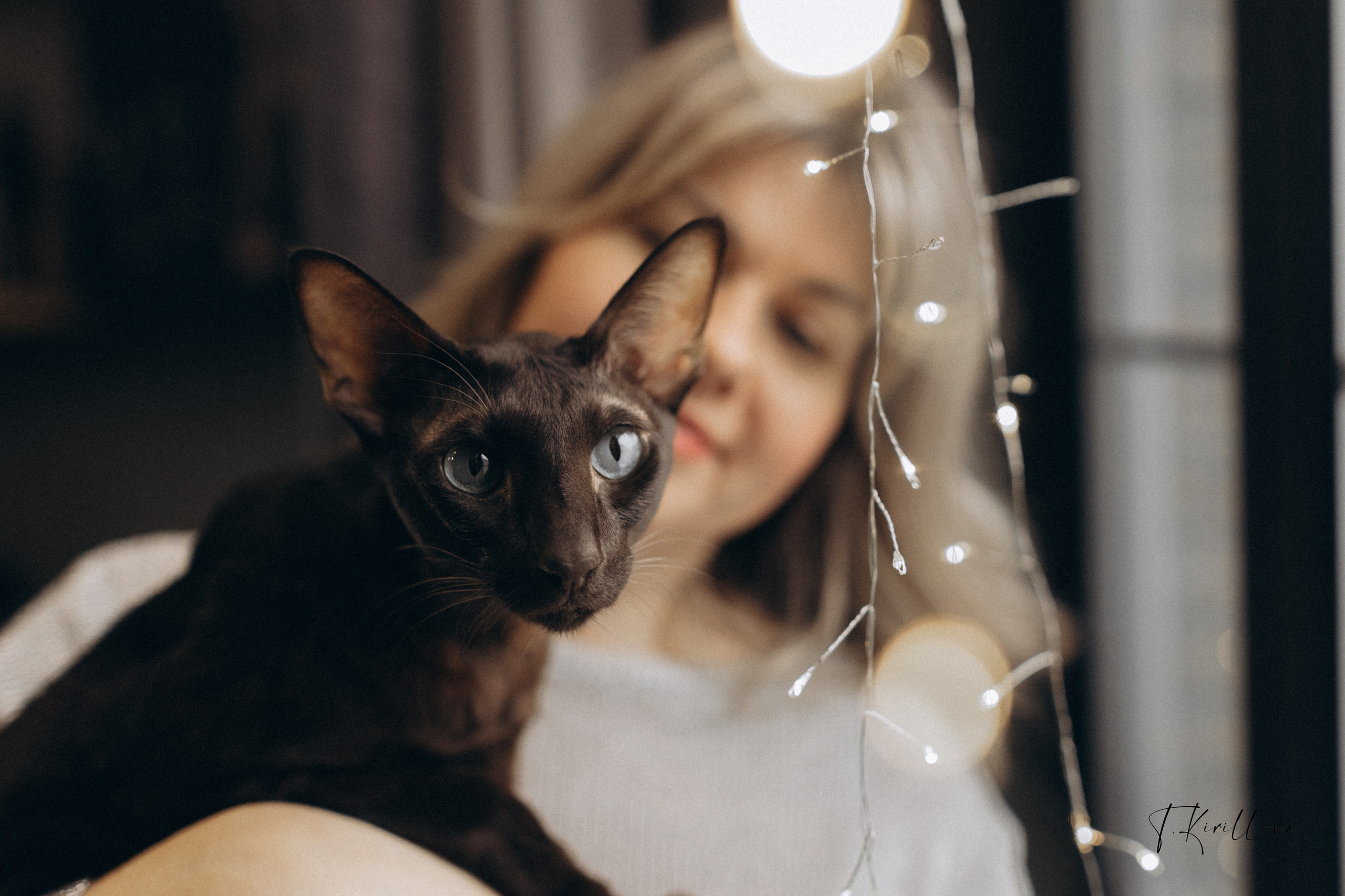 Новогоднее утро. Фотограф-анималист в Москве Кириллова Татьяна