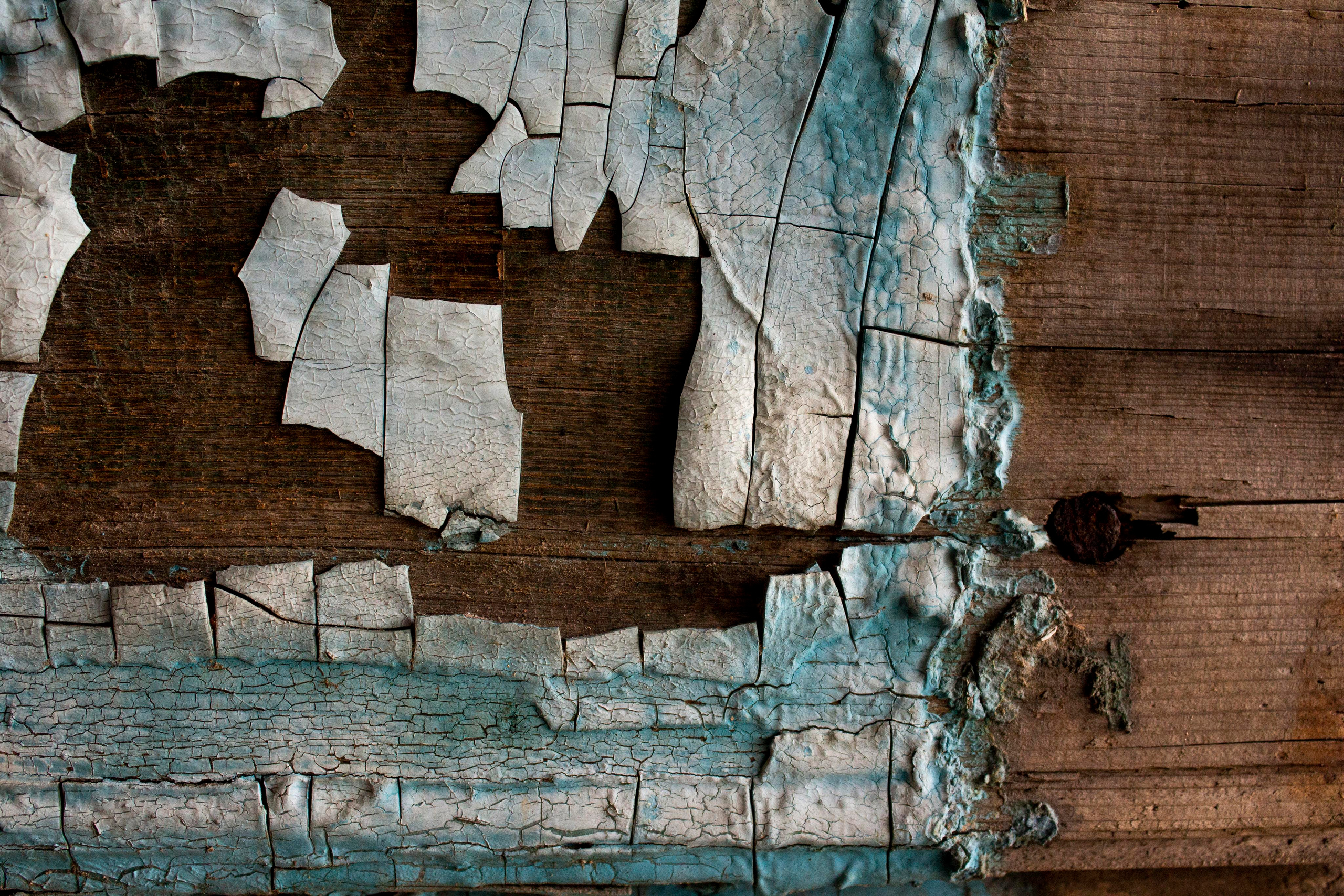 Ставрополь. Трущобы под солдатом. Горева Александра. Фотограф