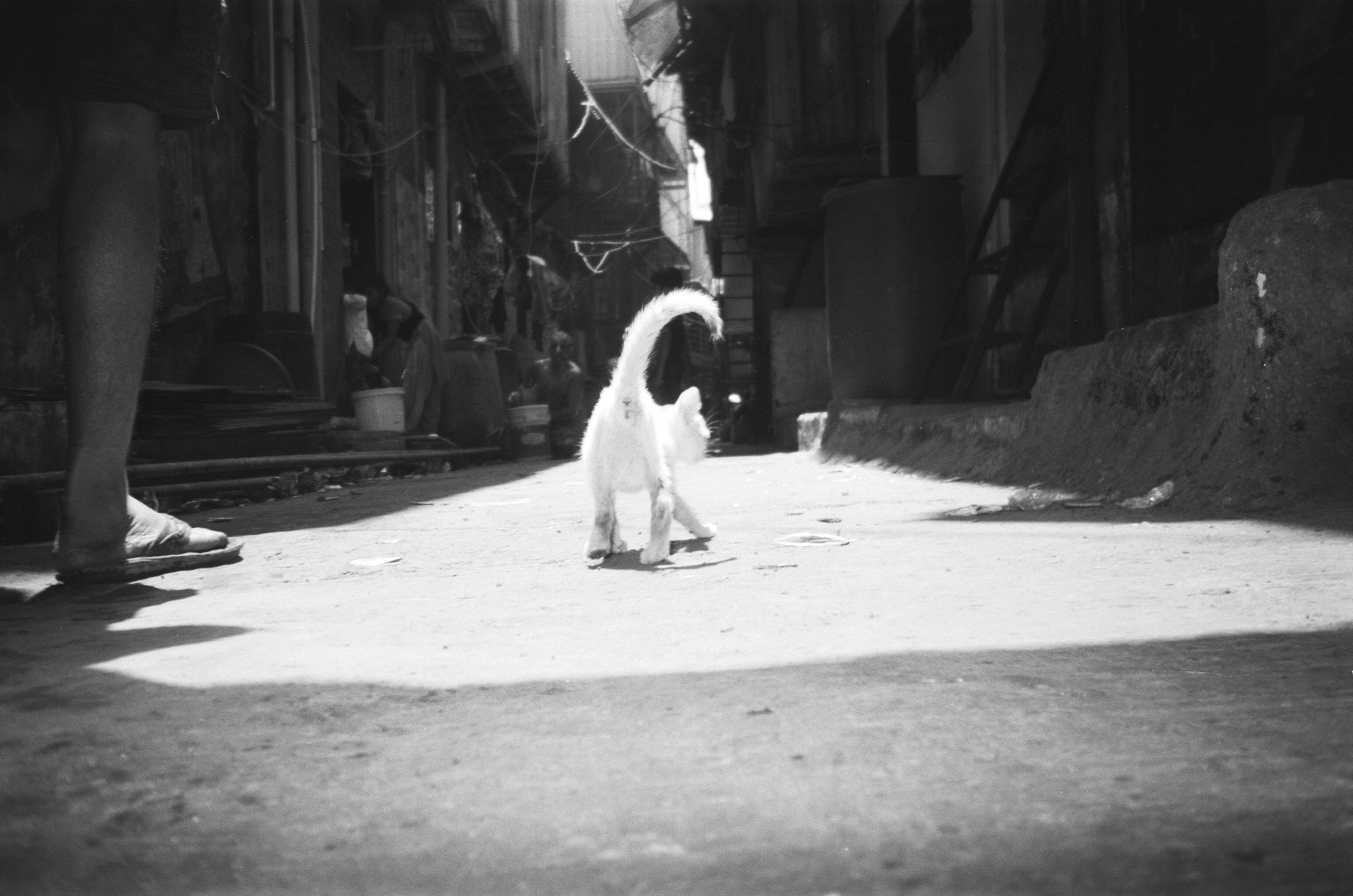 Горева Александра. Фотограф