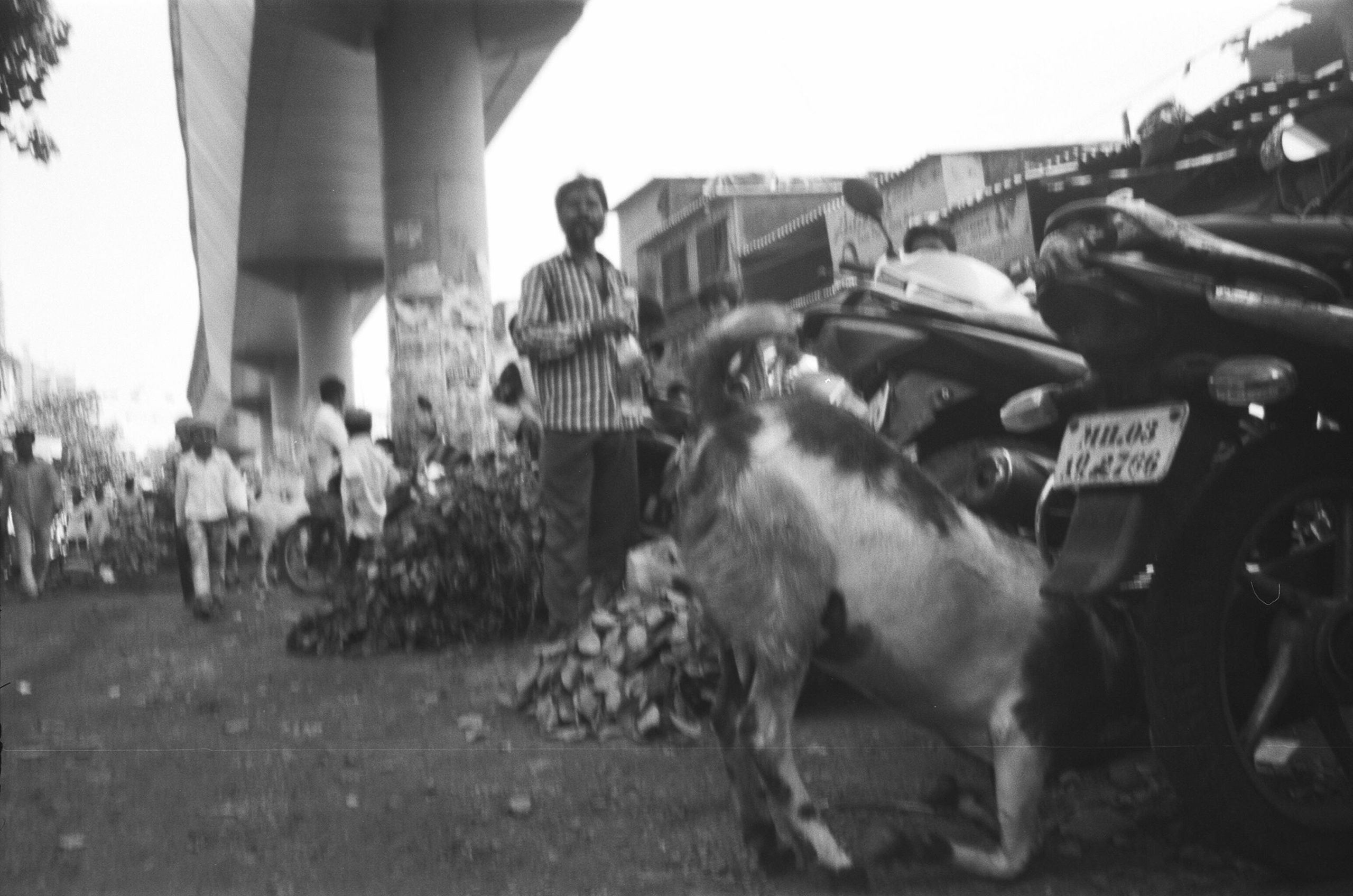 козел мотоцикл 