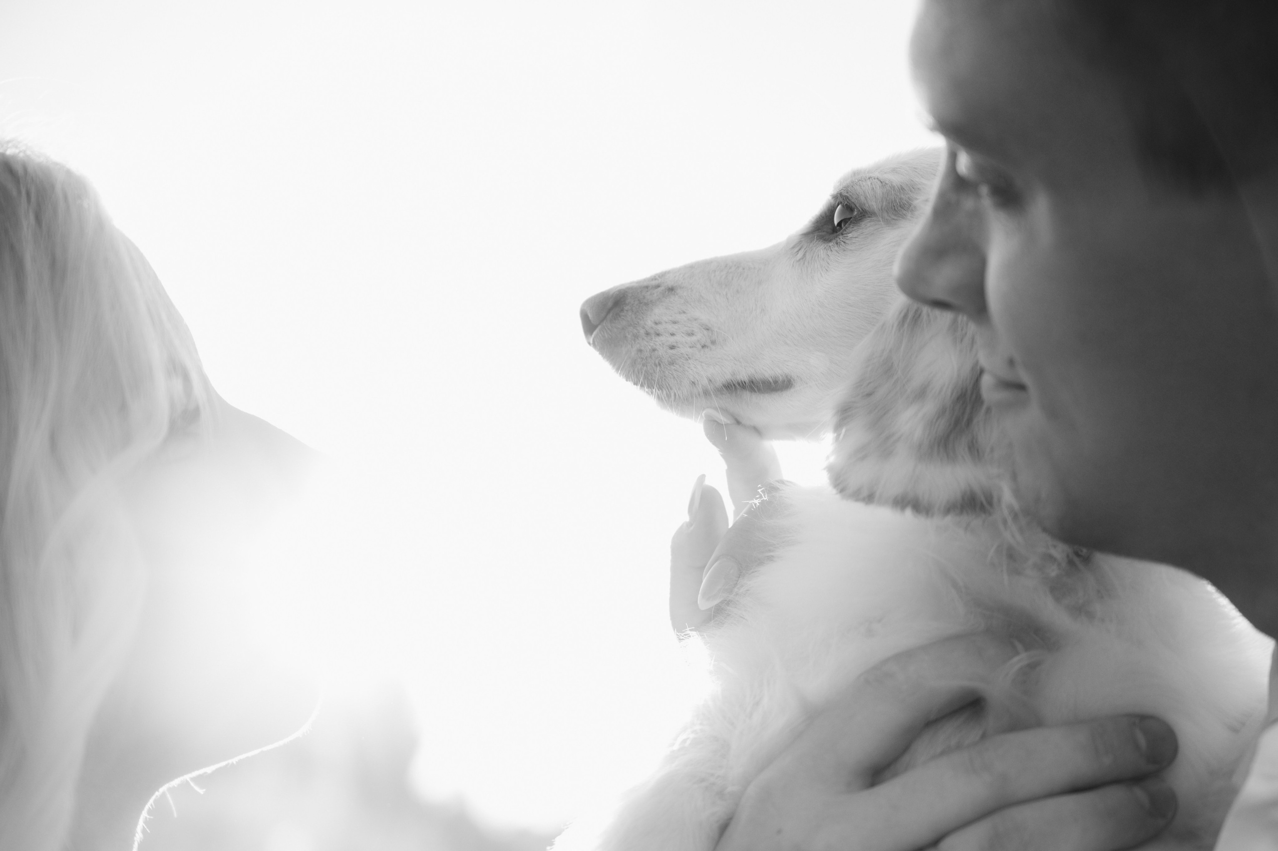 Яна и Паша. Свадебный и семейный фотограф Вероника Холод