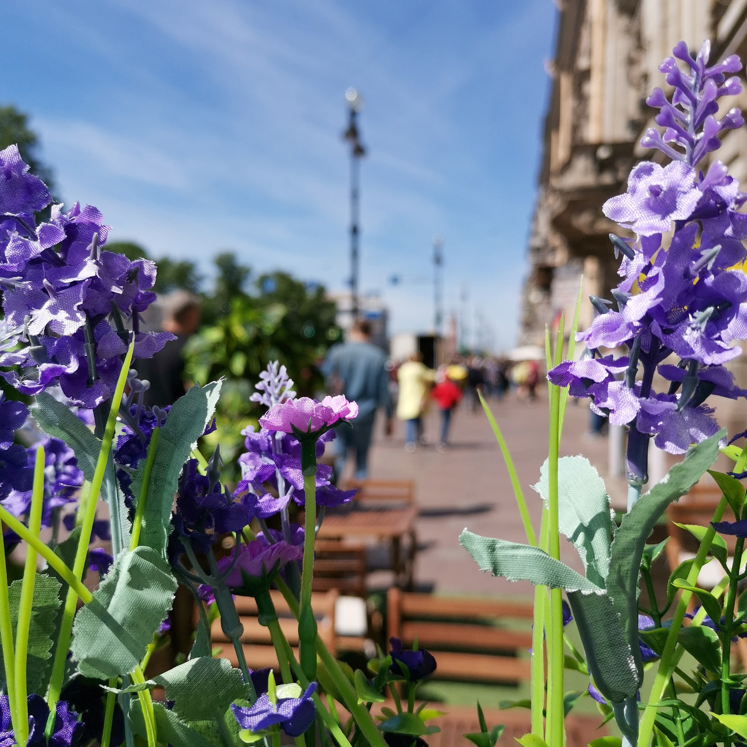 Академия фотографии. Фото/Ретушь/Обучение