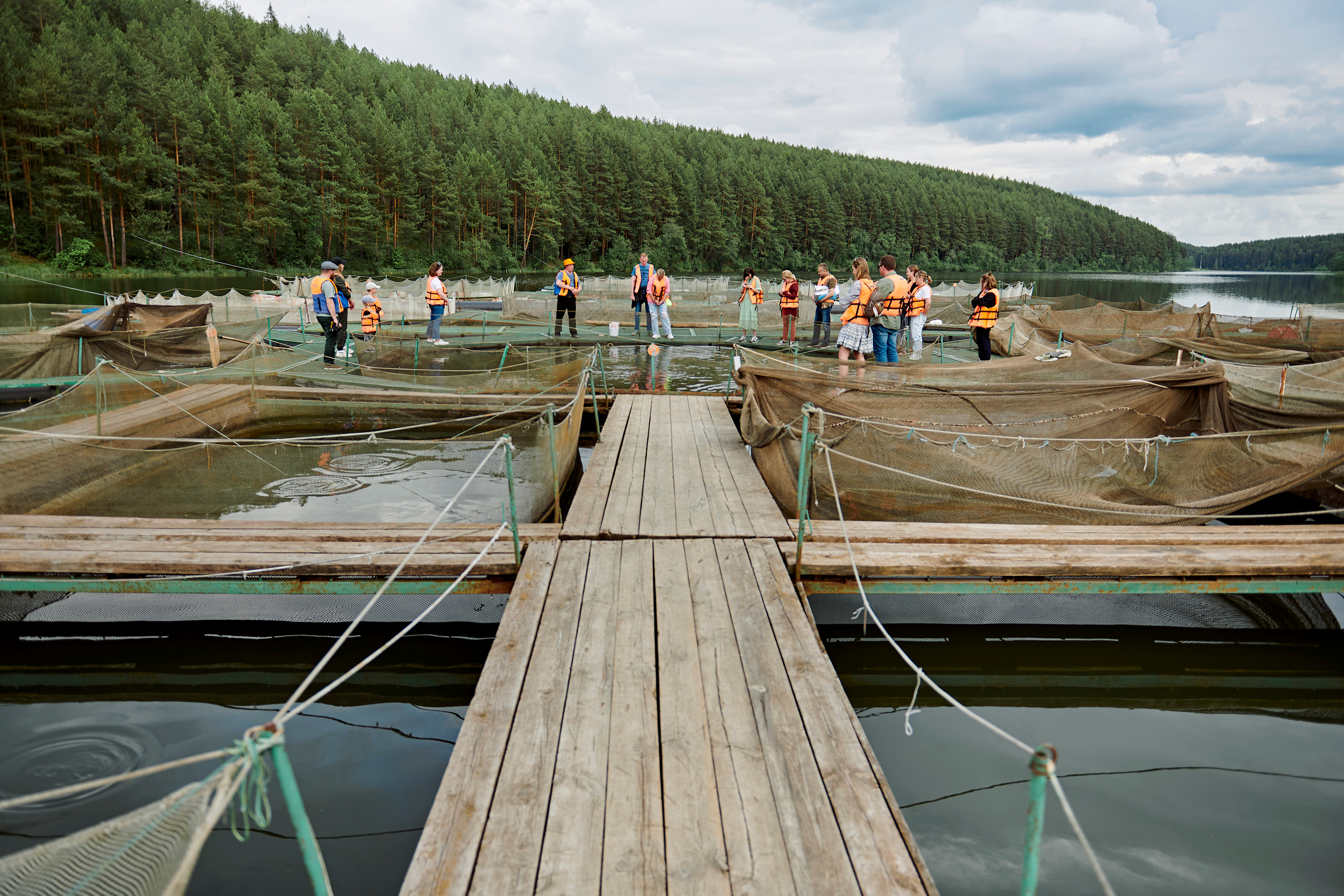 Летний ужин на природе с тремя шефами. Фотограф Постольник Дарья