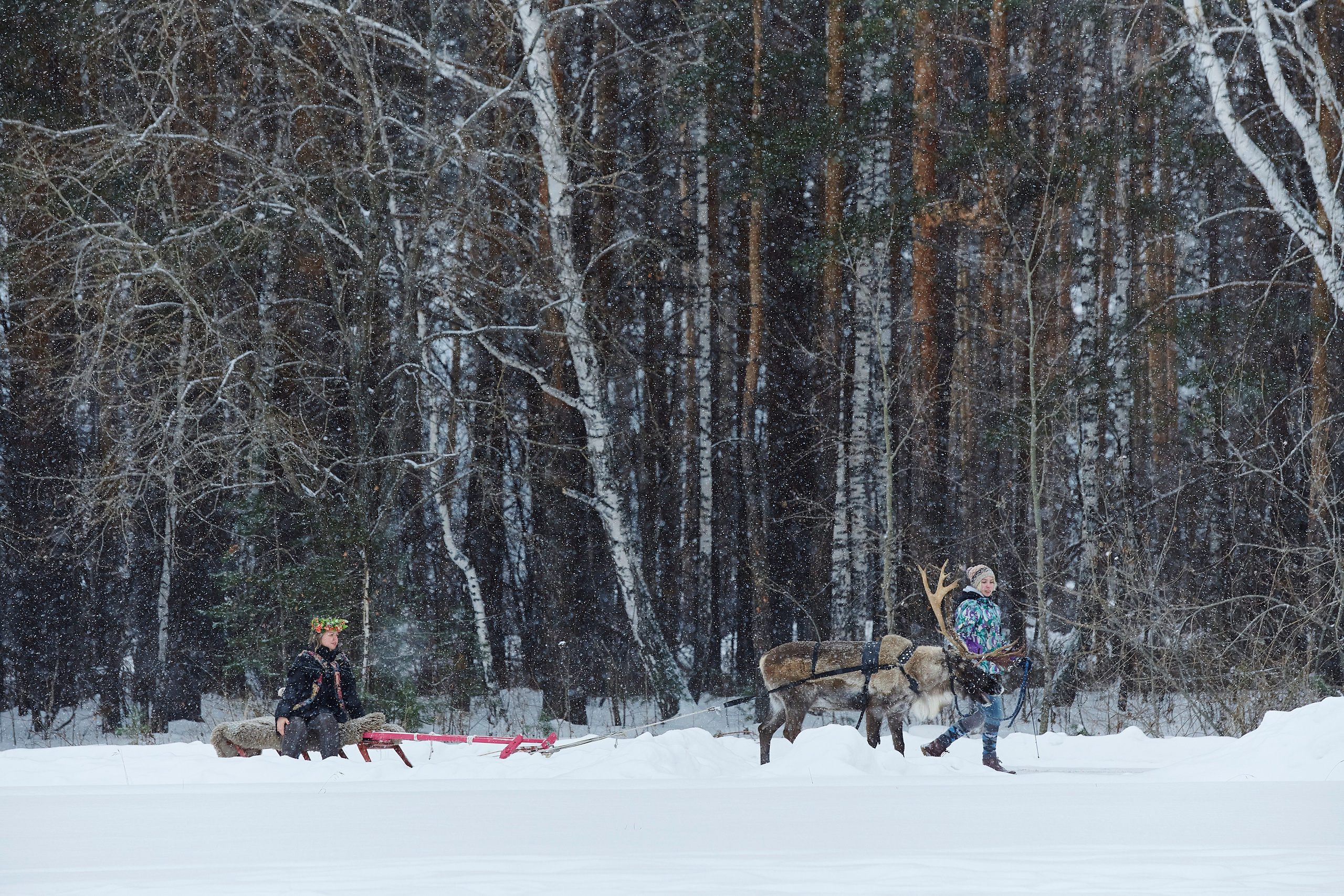 Зимний праздник для Нипигормаш. Фотограф Постольник Дарья