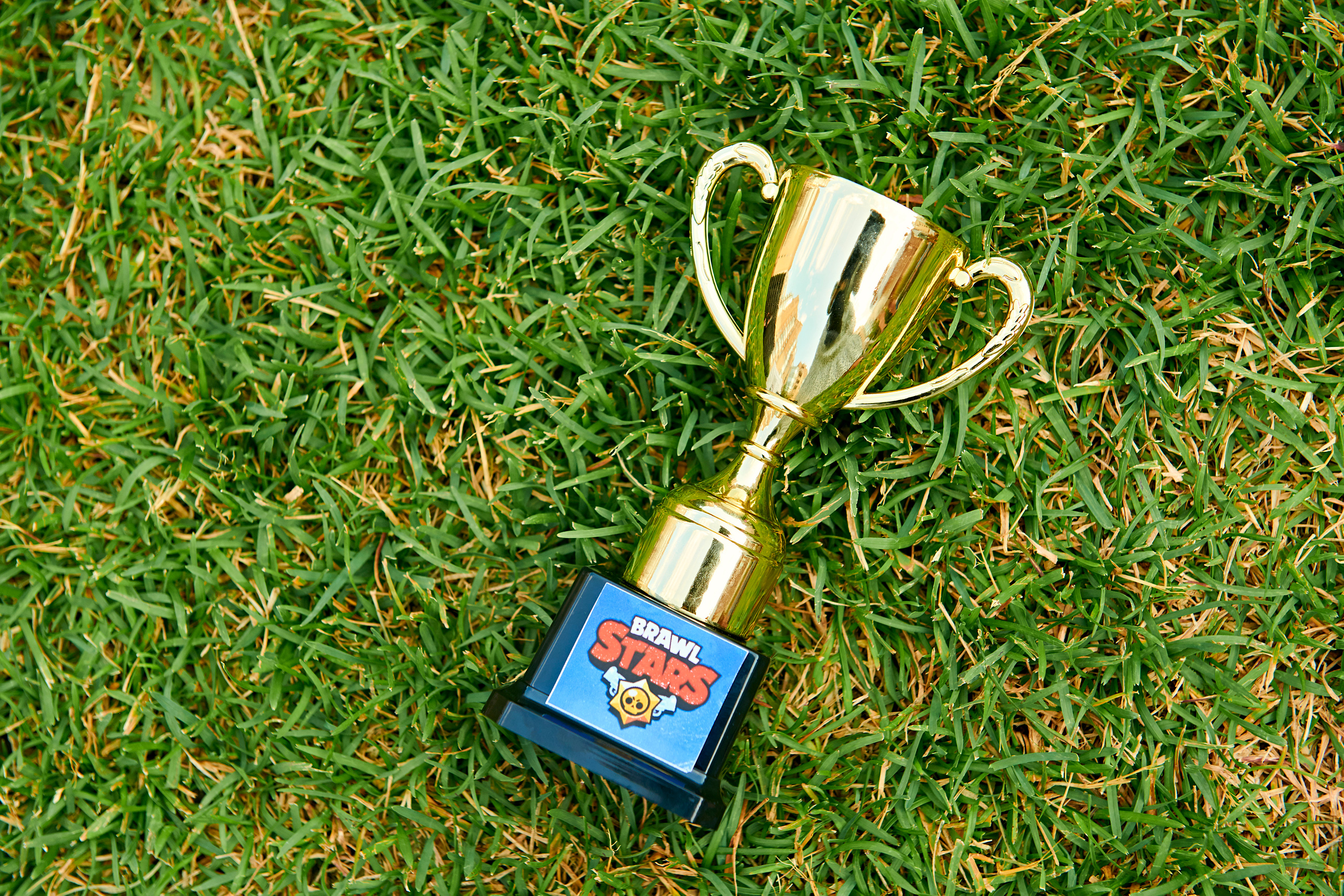 Демьян. Фотограф Постольник Дарья