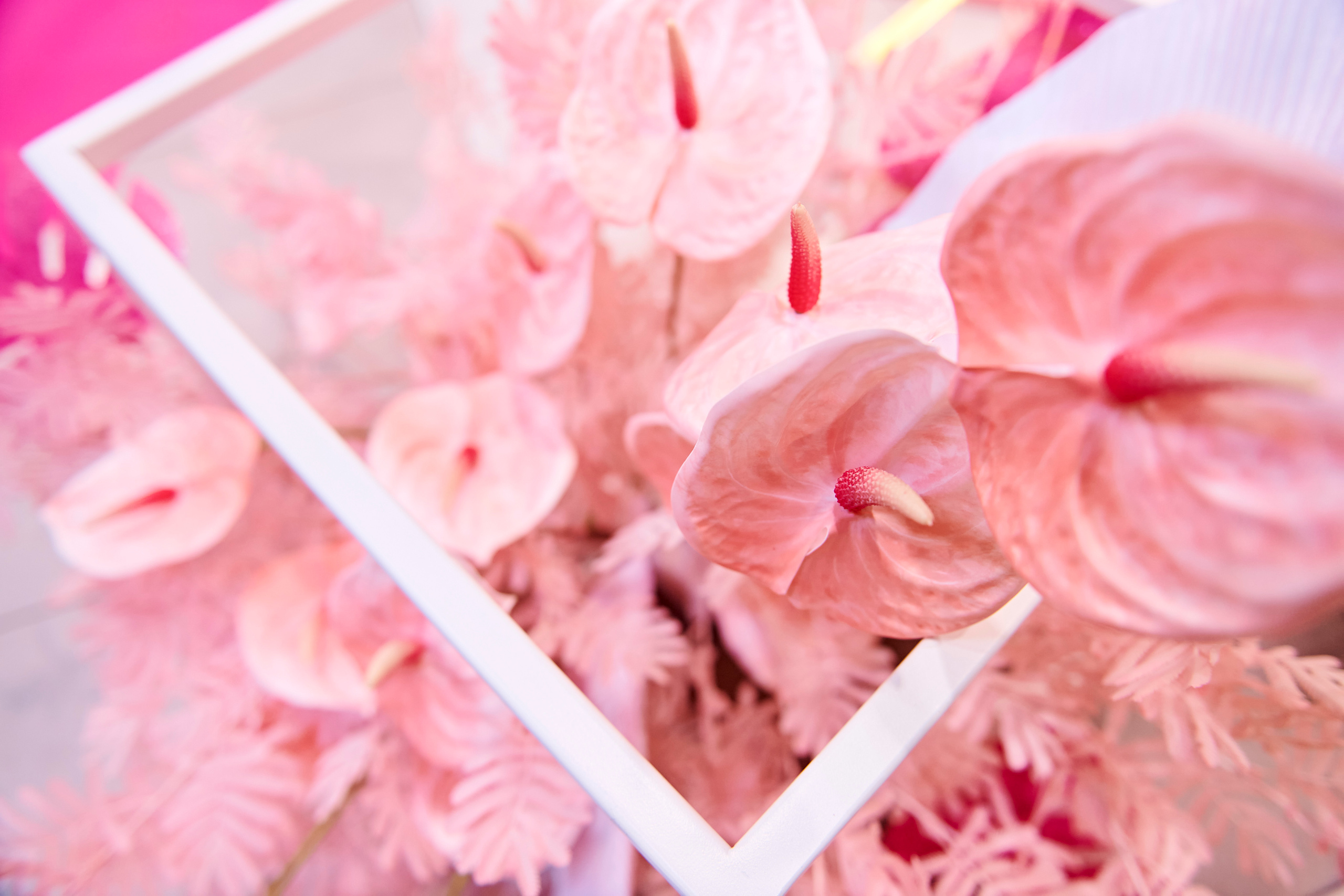 Mega Beauty Day. Фотограф Постольник Дарья