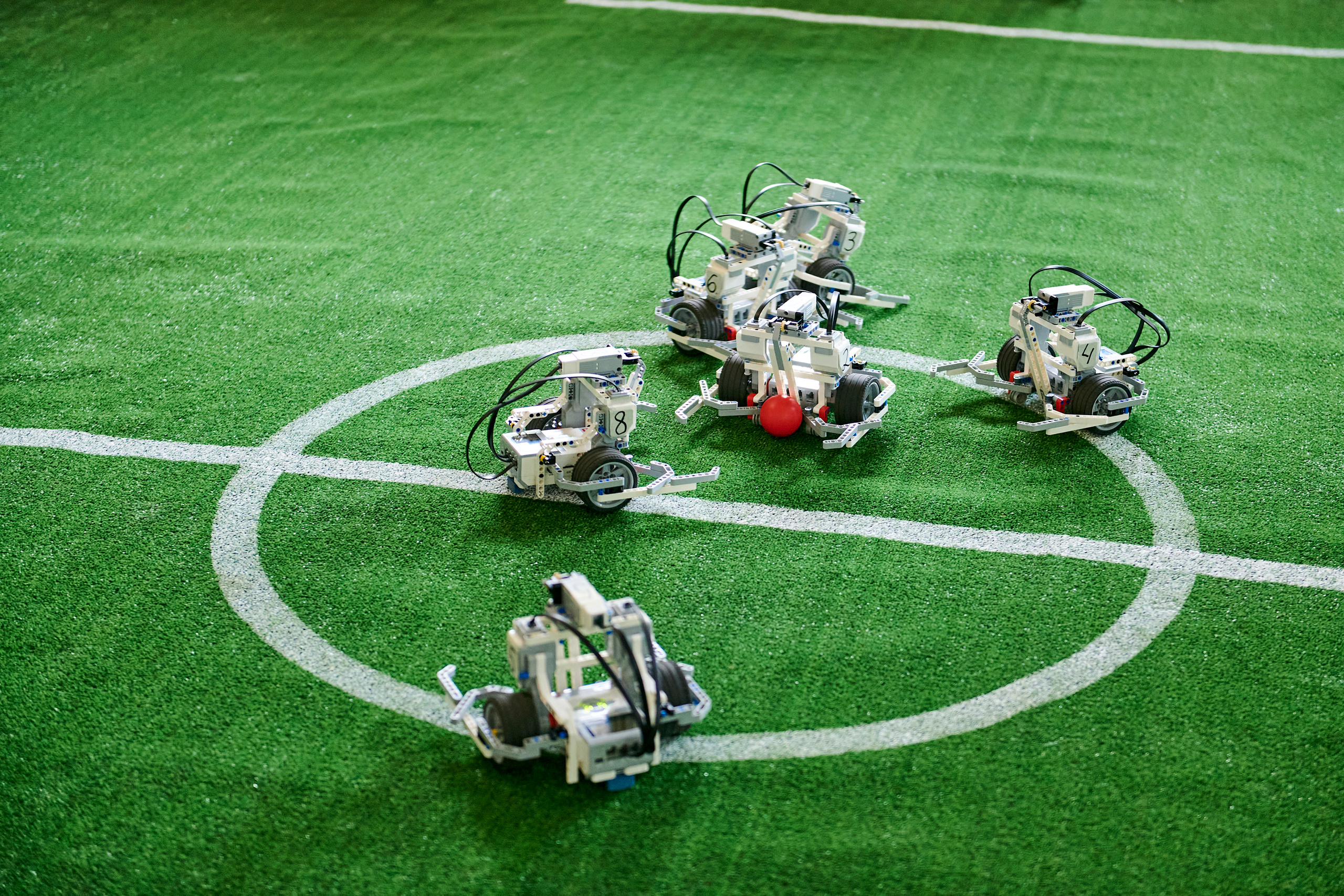 Пикник IT. Фотограф Постольник Дарья