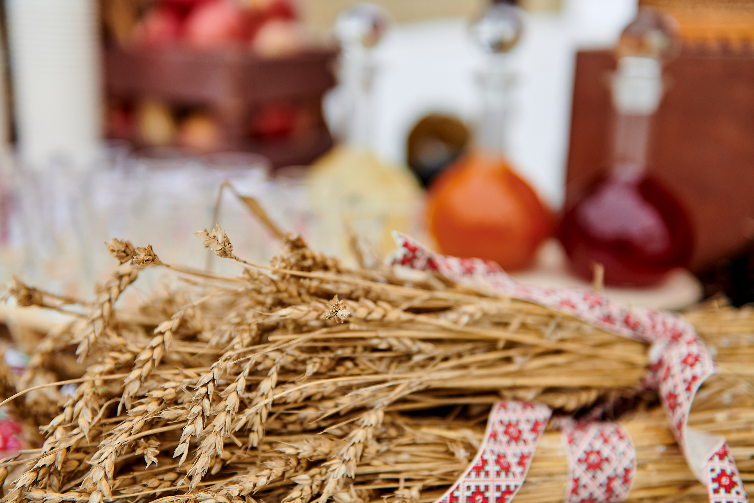 Зимний праздник для Нипигормаш. Фотограф Постольник Дарья