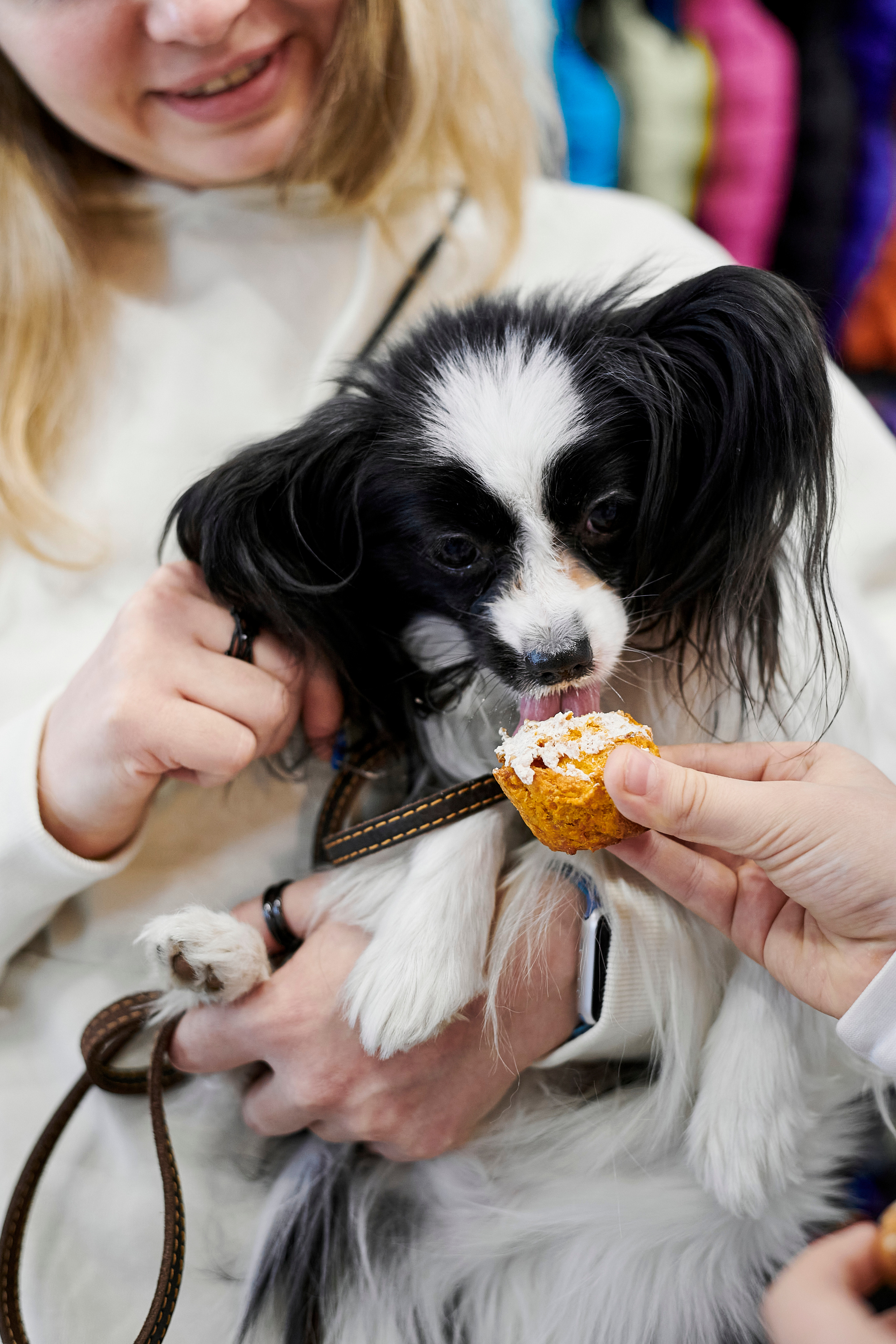 Открытие салона-магазина для животных People & Pets. Фотограф Постольник Дарья