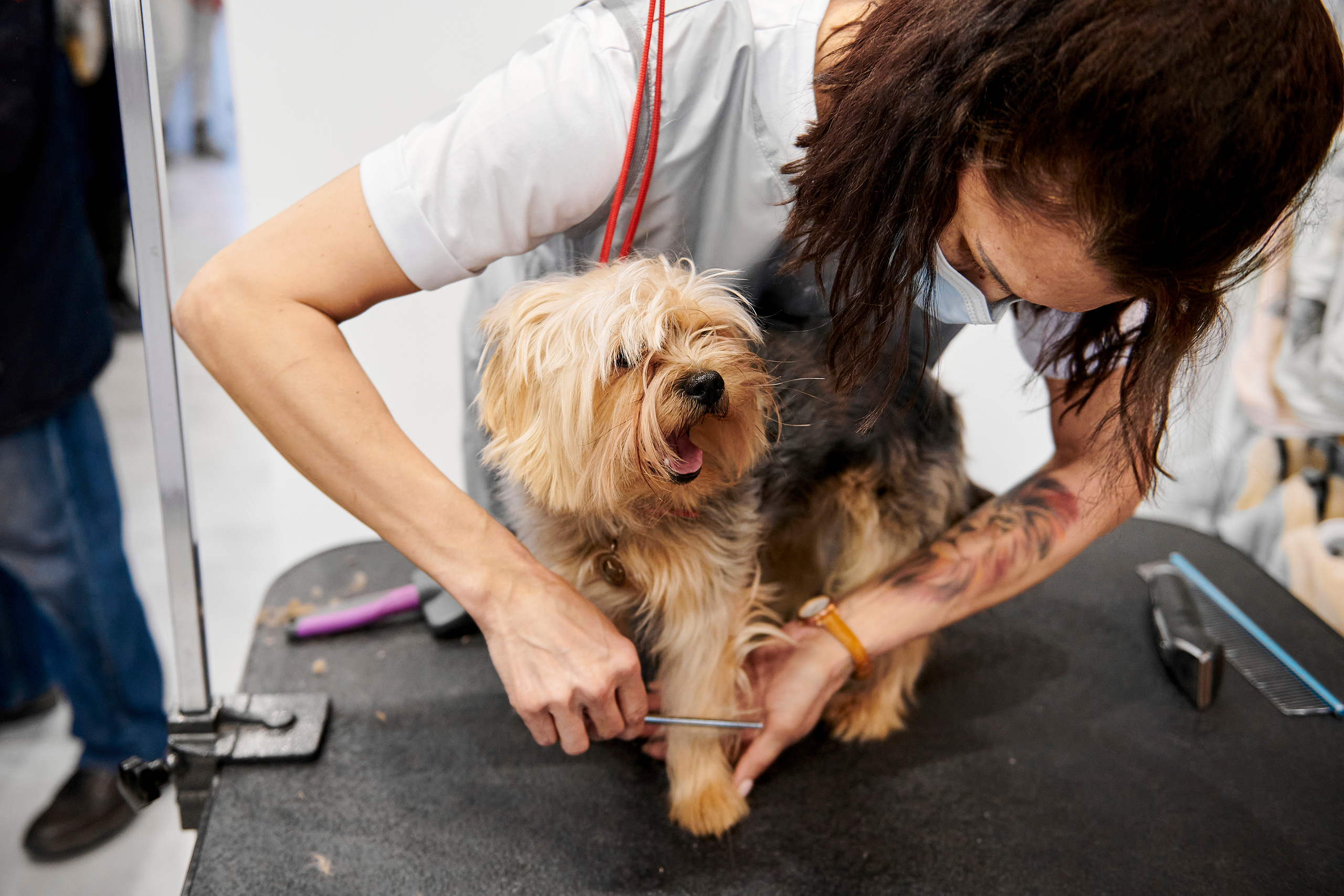 Открытие салона-магазина для животных People & Pets. Фотограф Постольник Дарья