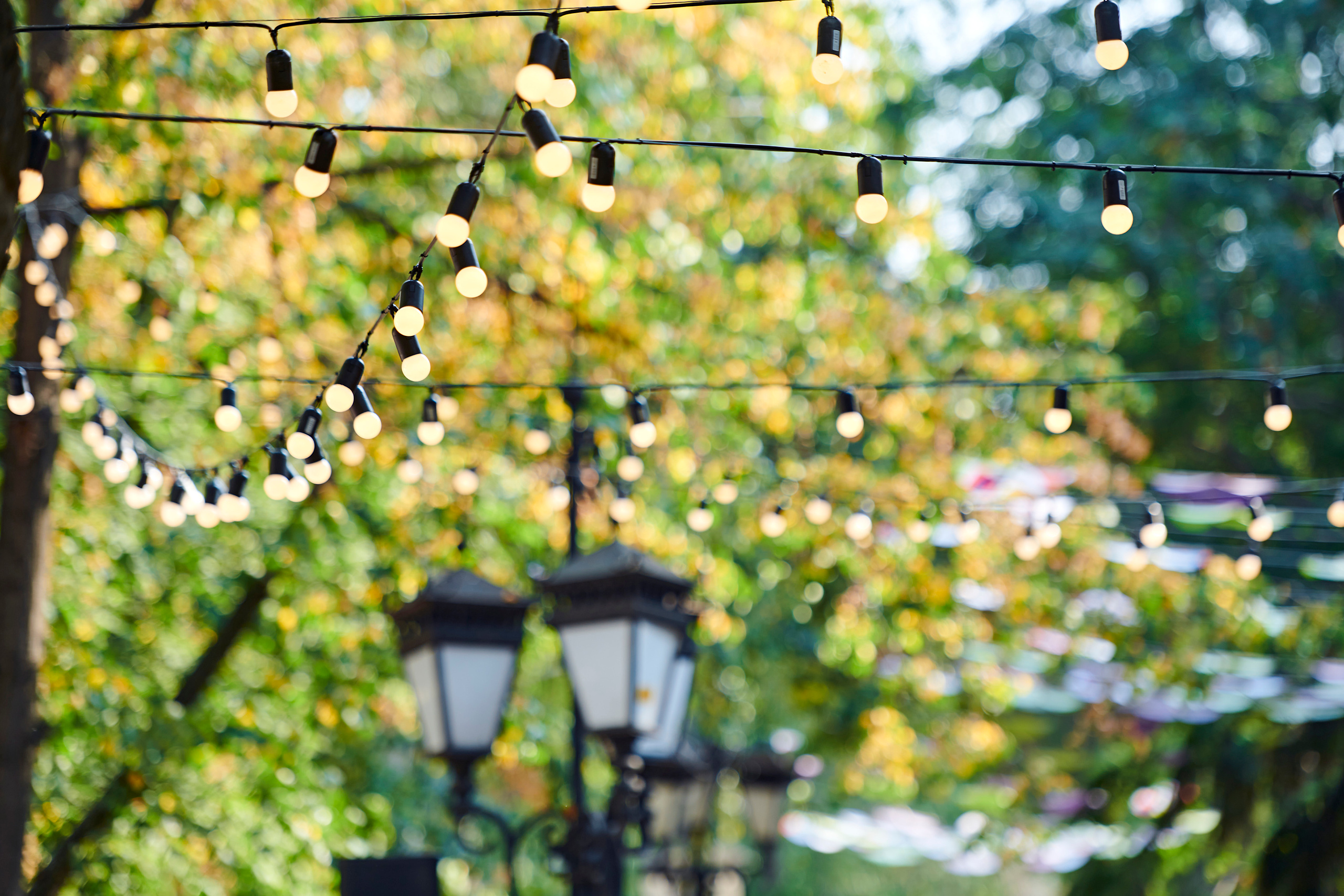 Первый SUMMER FEST by OneLoft. Фотограф Постольник Дарья