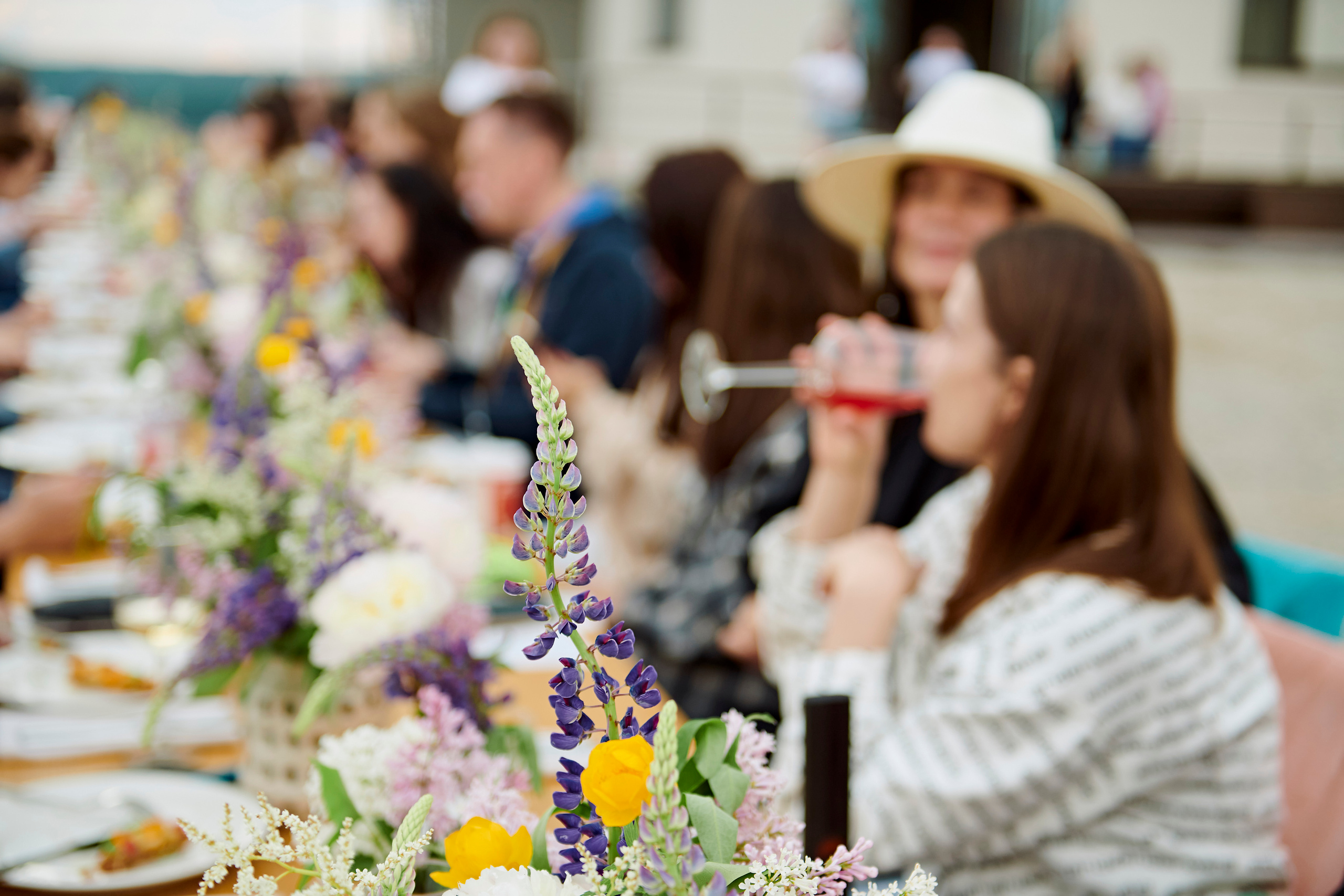 Летний ужин на природе с тремя шефами. Фотограф Постольник Дарья