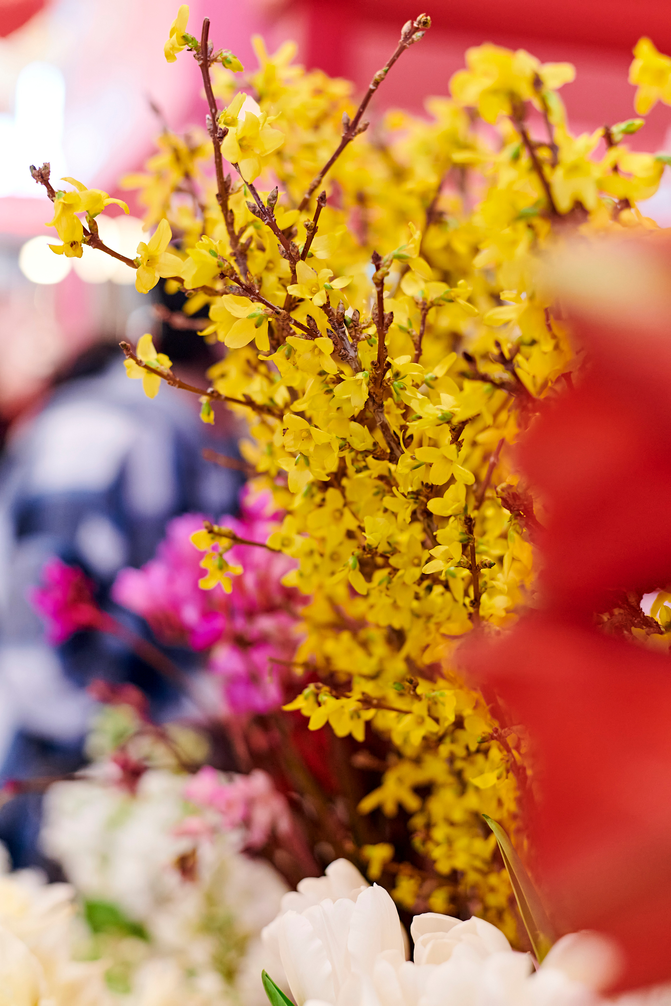 Mega Beauty Day. Фотограф Постольник Дарья