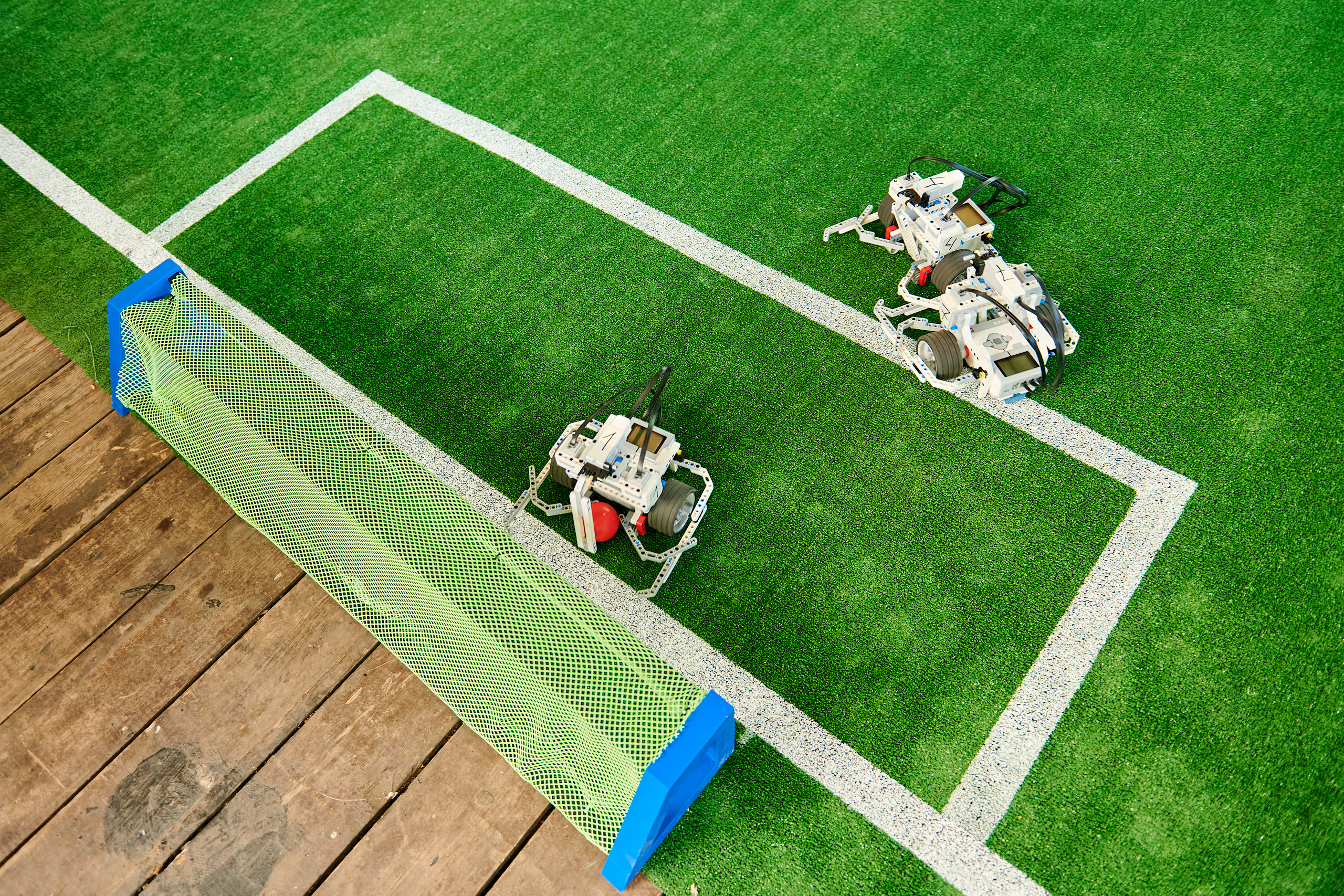 Пикник IT. Фотограф Постольник Дарья