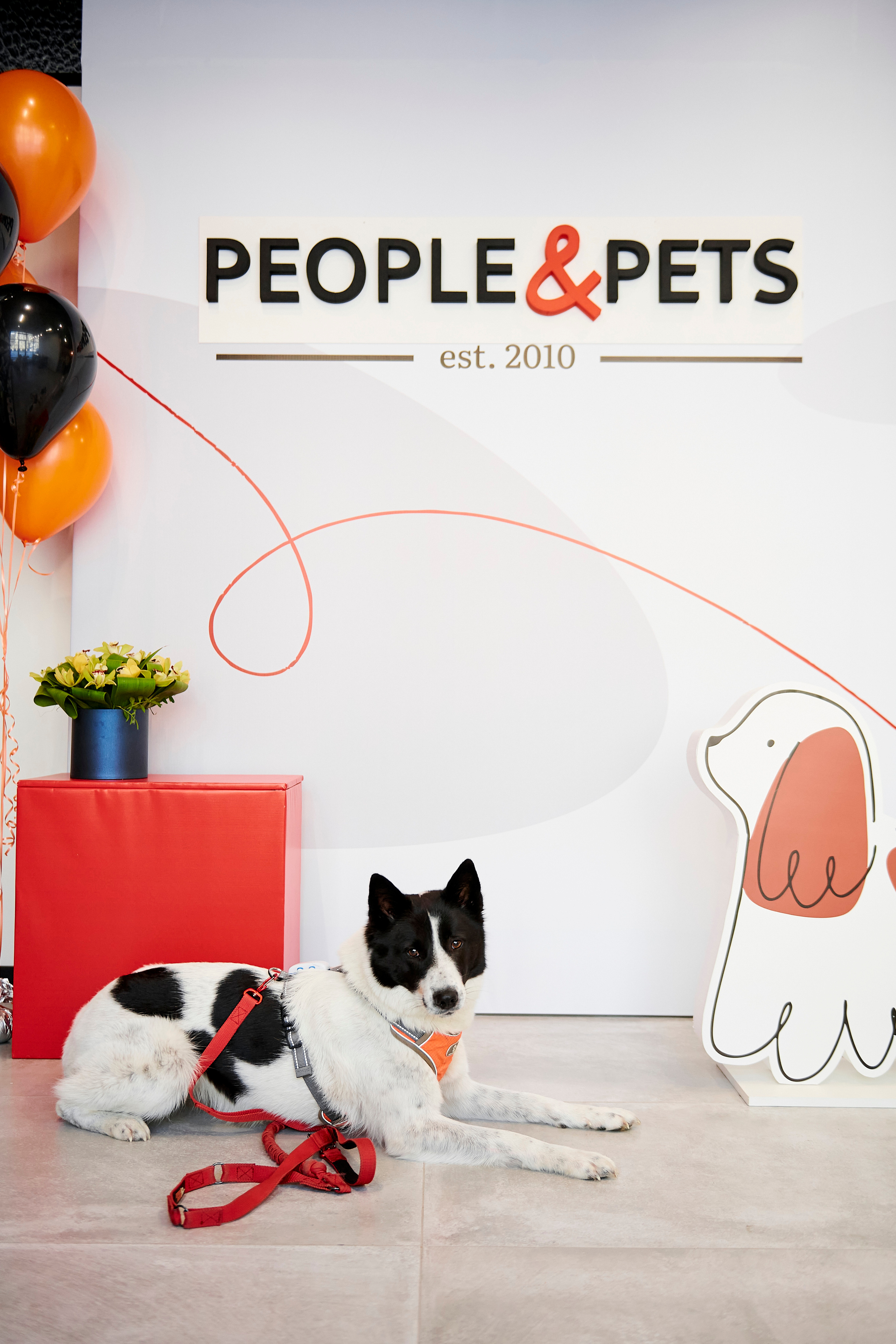 Открытие салона-магазина для животных People & Pets. Фотограф Постольник Дарья