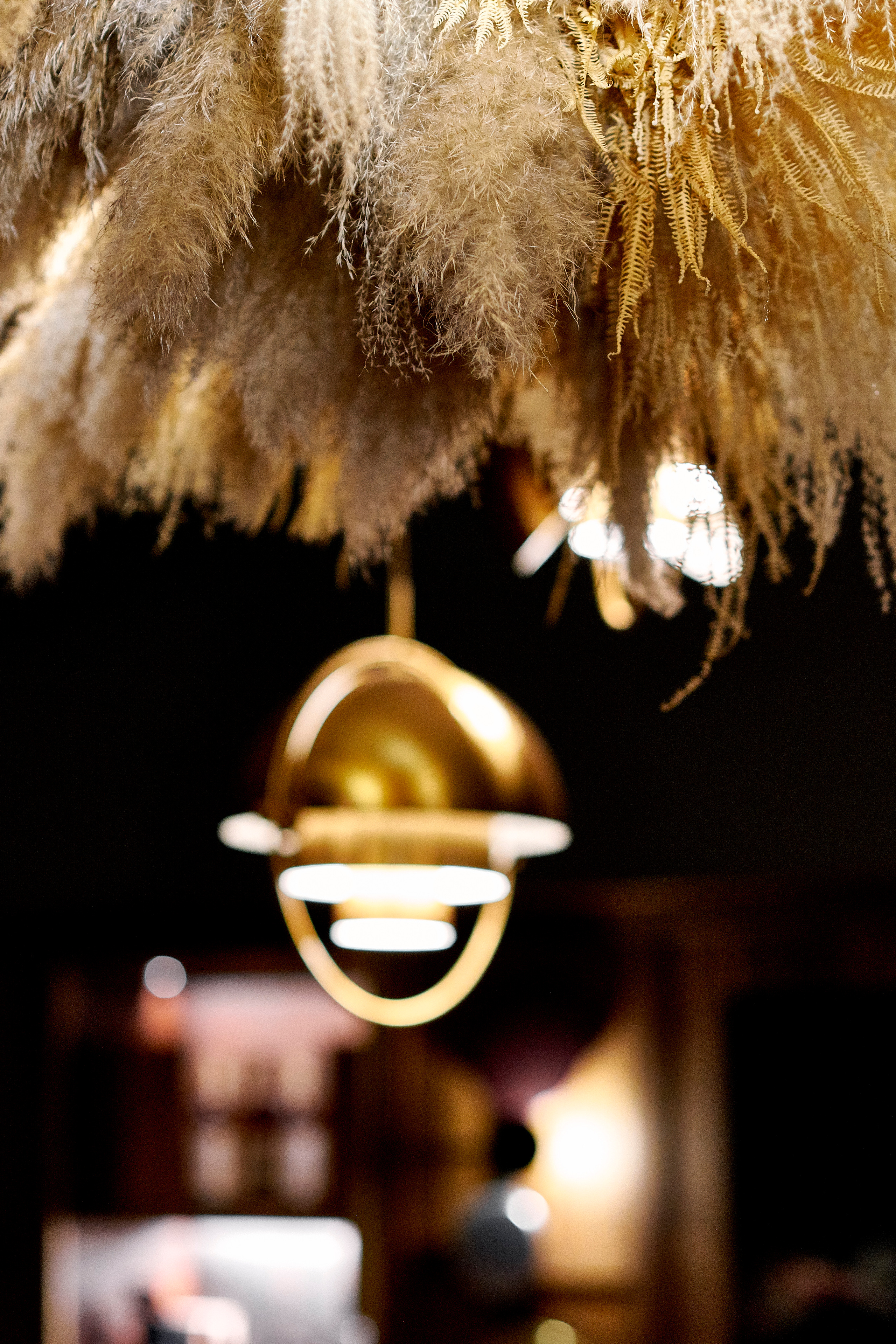 Sekta organic wine bar. Ужин с Аланом Бигати. Фотограф Постольник Дарья