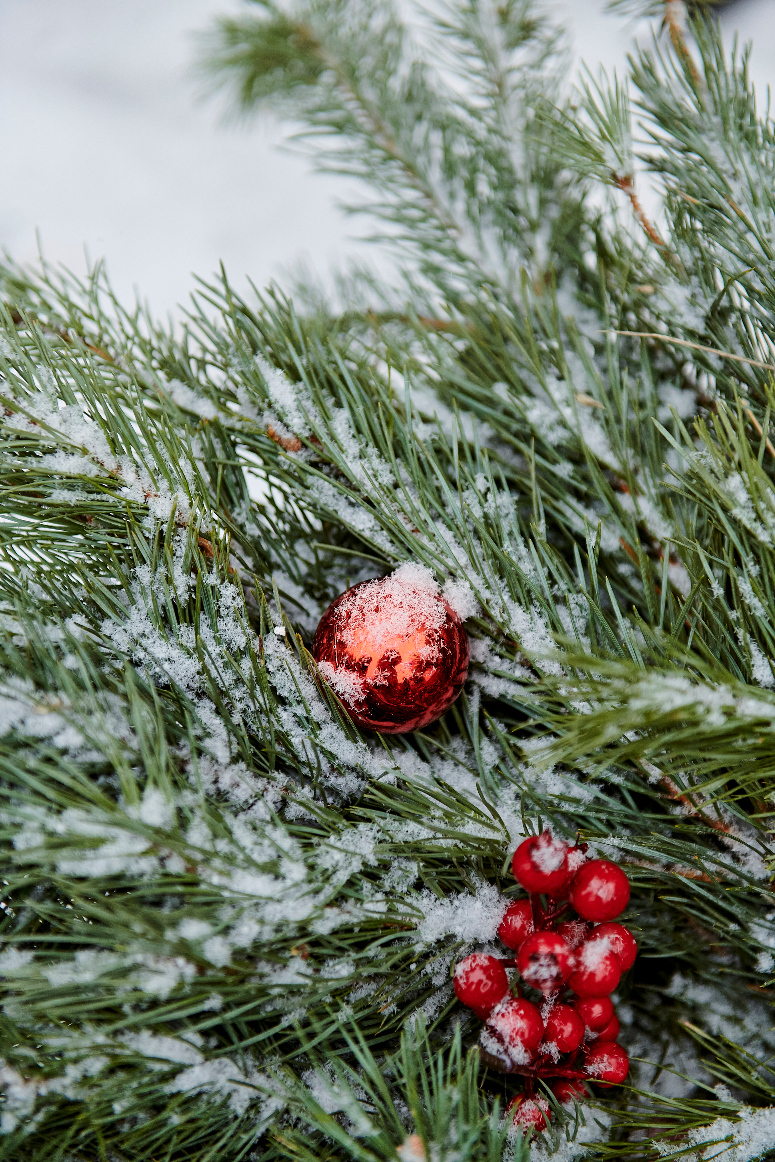 Зимний праздник для Нипигормаш. Фотограф Постольник Дарья