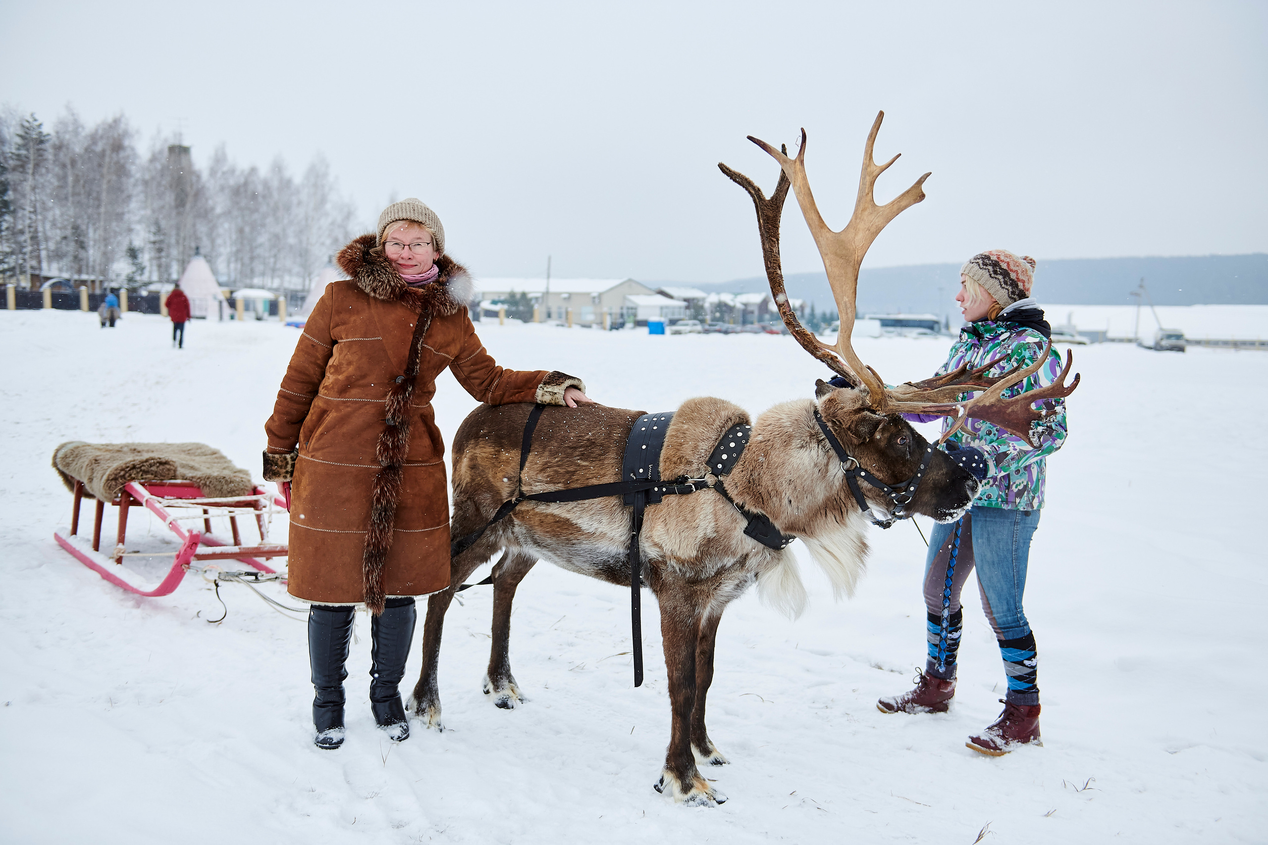 Зимний праздник для Нипигормаш. Фотограф Постольник Дарья