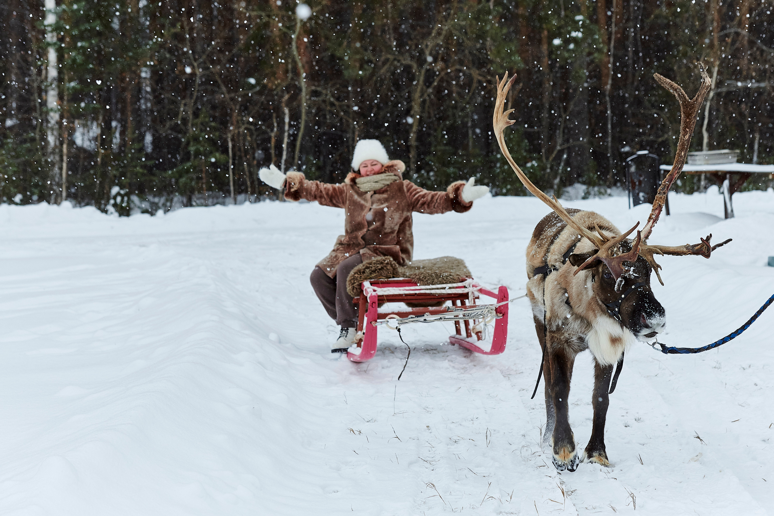 Зимний праздник для Нипигормаш. Фотограф Постольник Дарья
