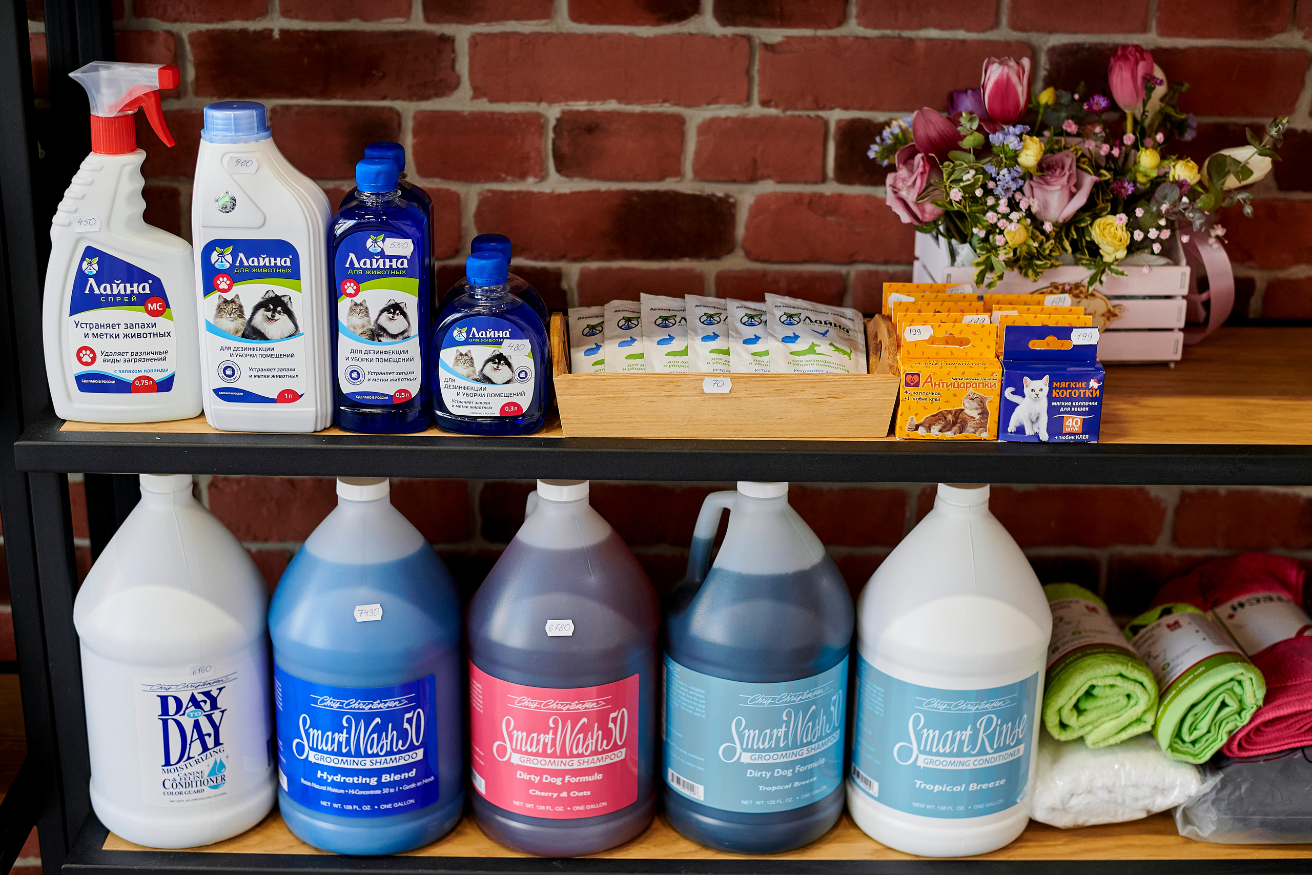 Открытие салона-магазина для животных People & Pets. Фотограф Постольник Дарья