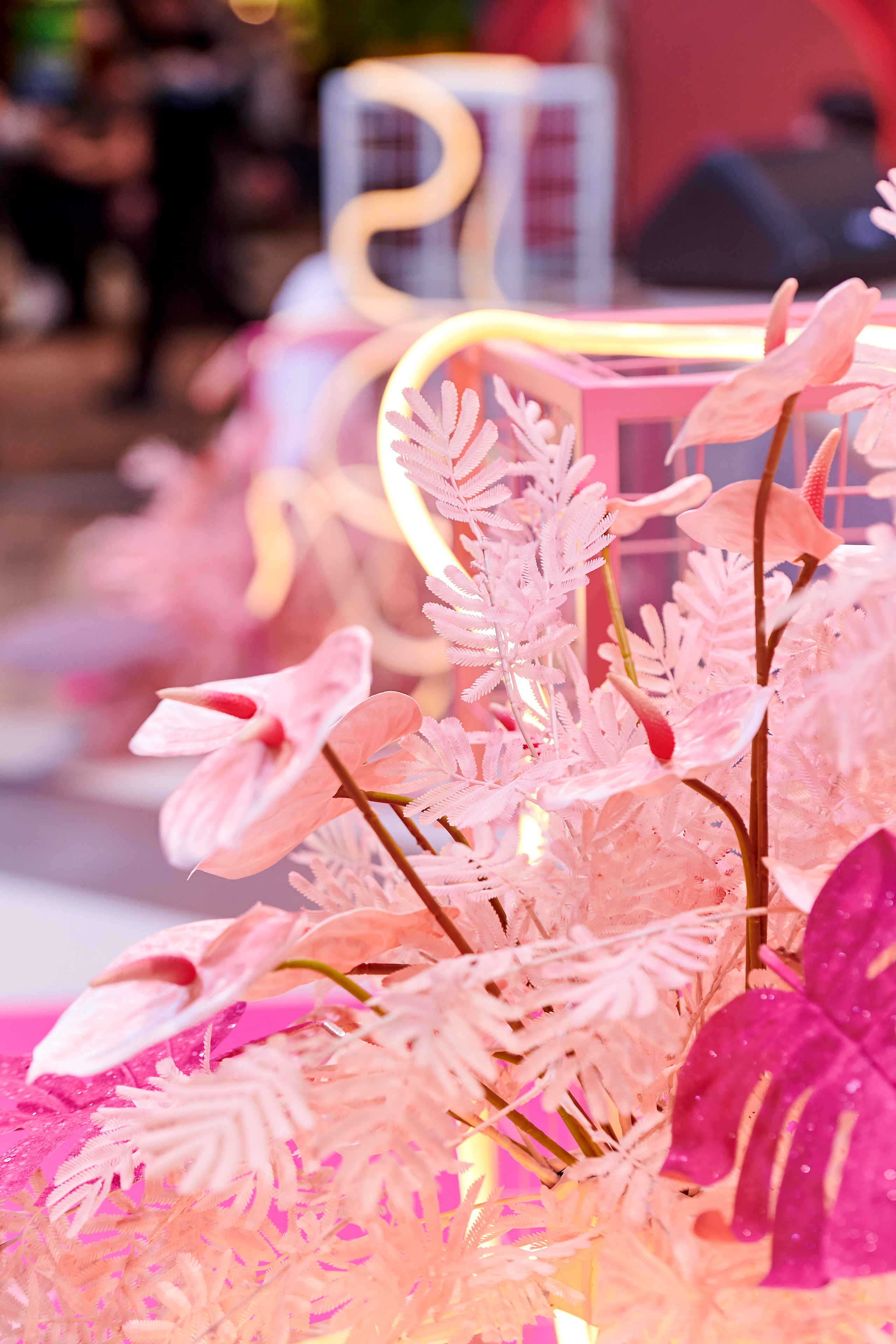 Mega Beauty Day. Фотограф Постольник Дарья