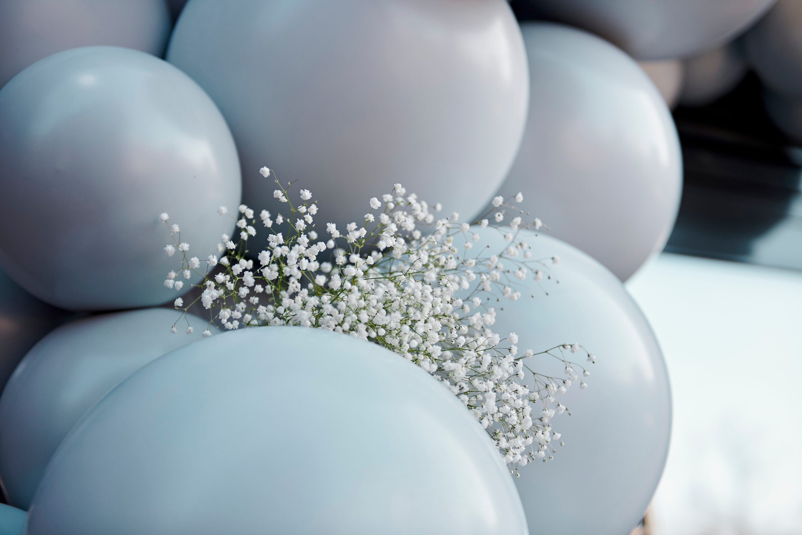 Открытие косметологической клиники VTELO. Фотограф Постольник Дарья