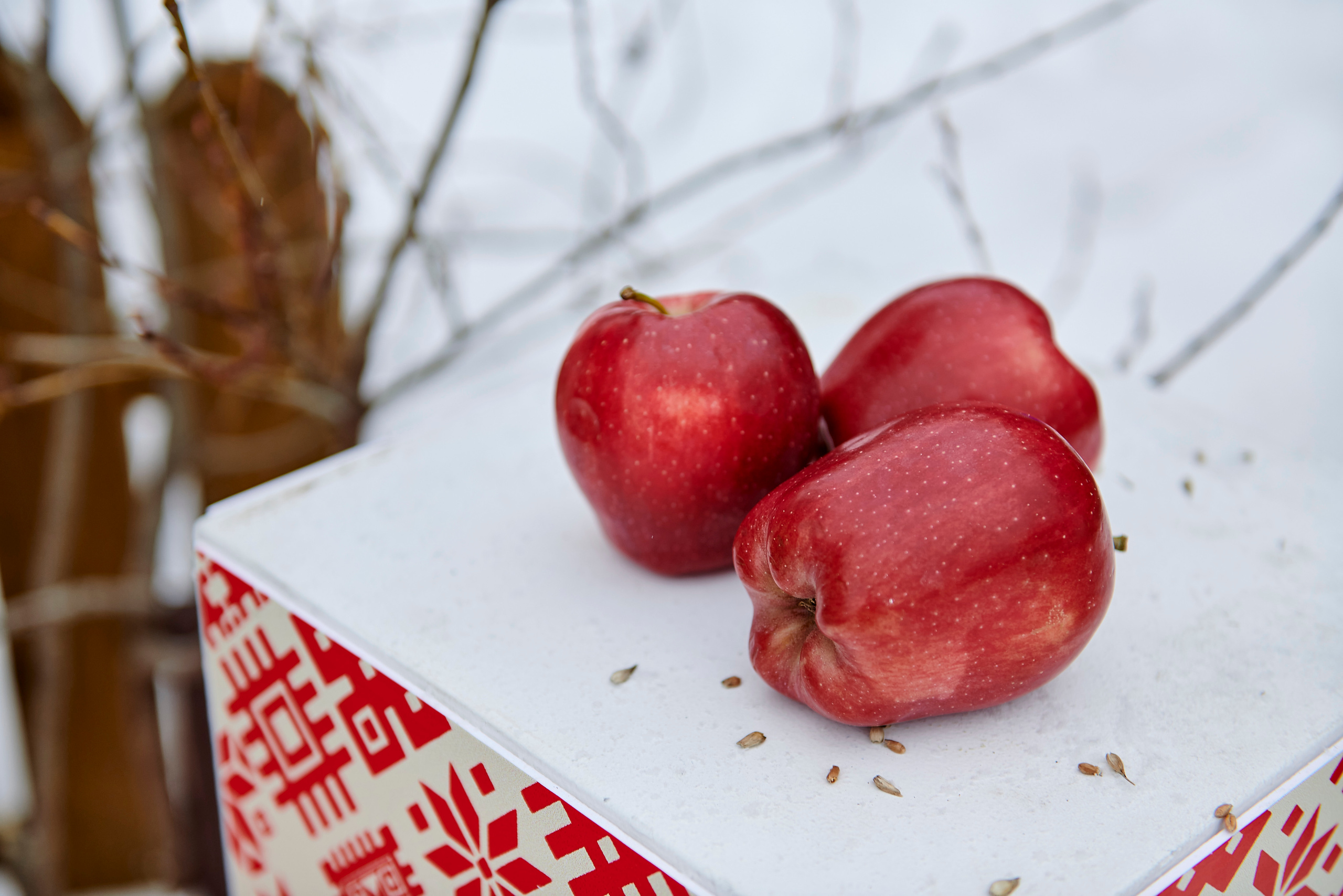 Зимний праздник для Нипигормаш. Фотограф Постольник Дарья