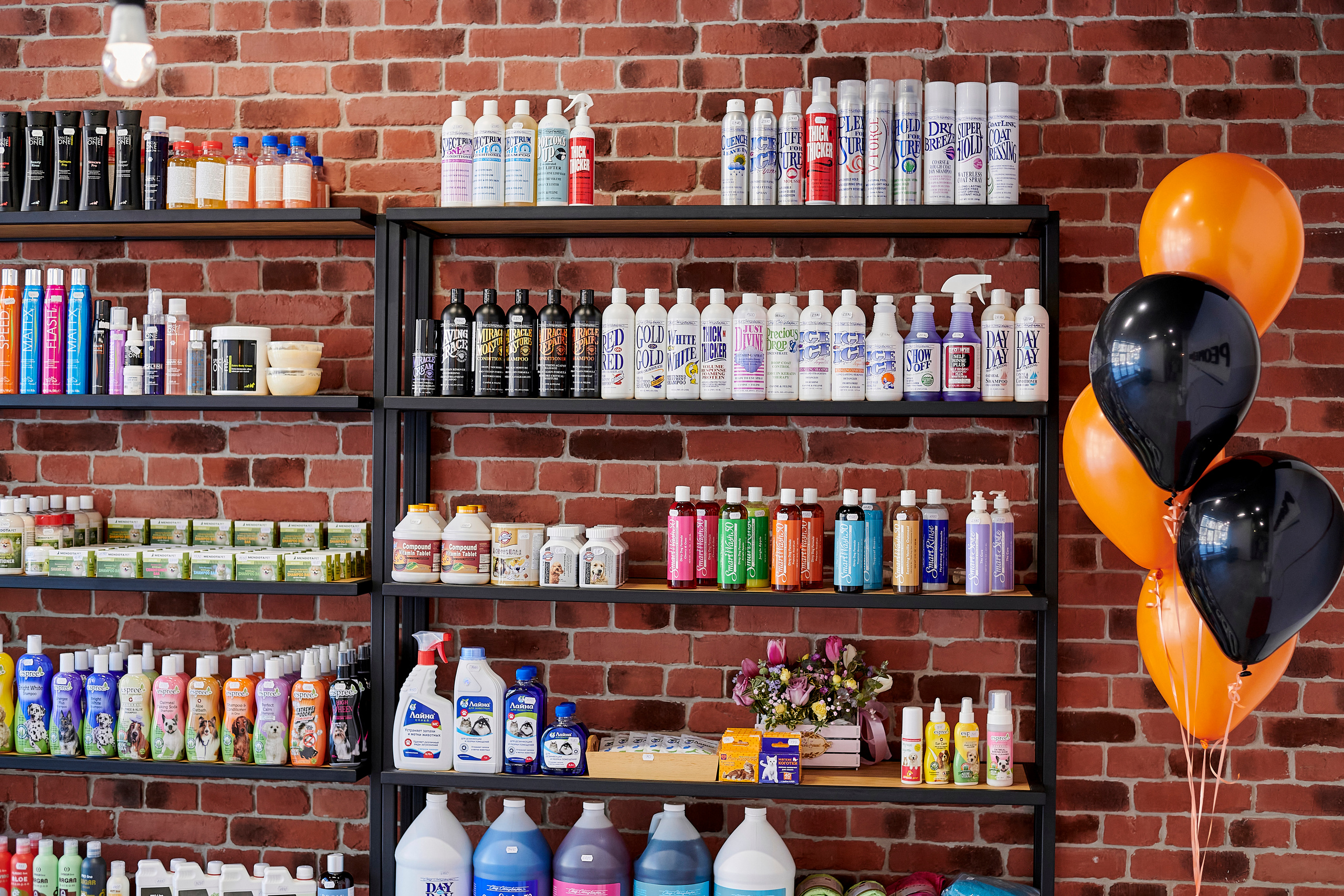 Открытие салона-магазина для животных People & Pets. Фотограф Постольник Дарья