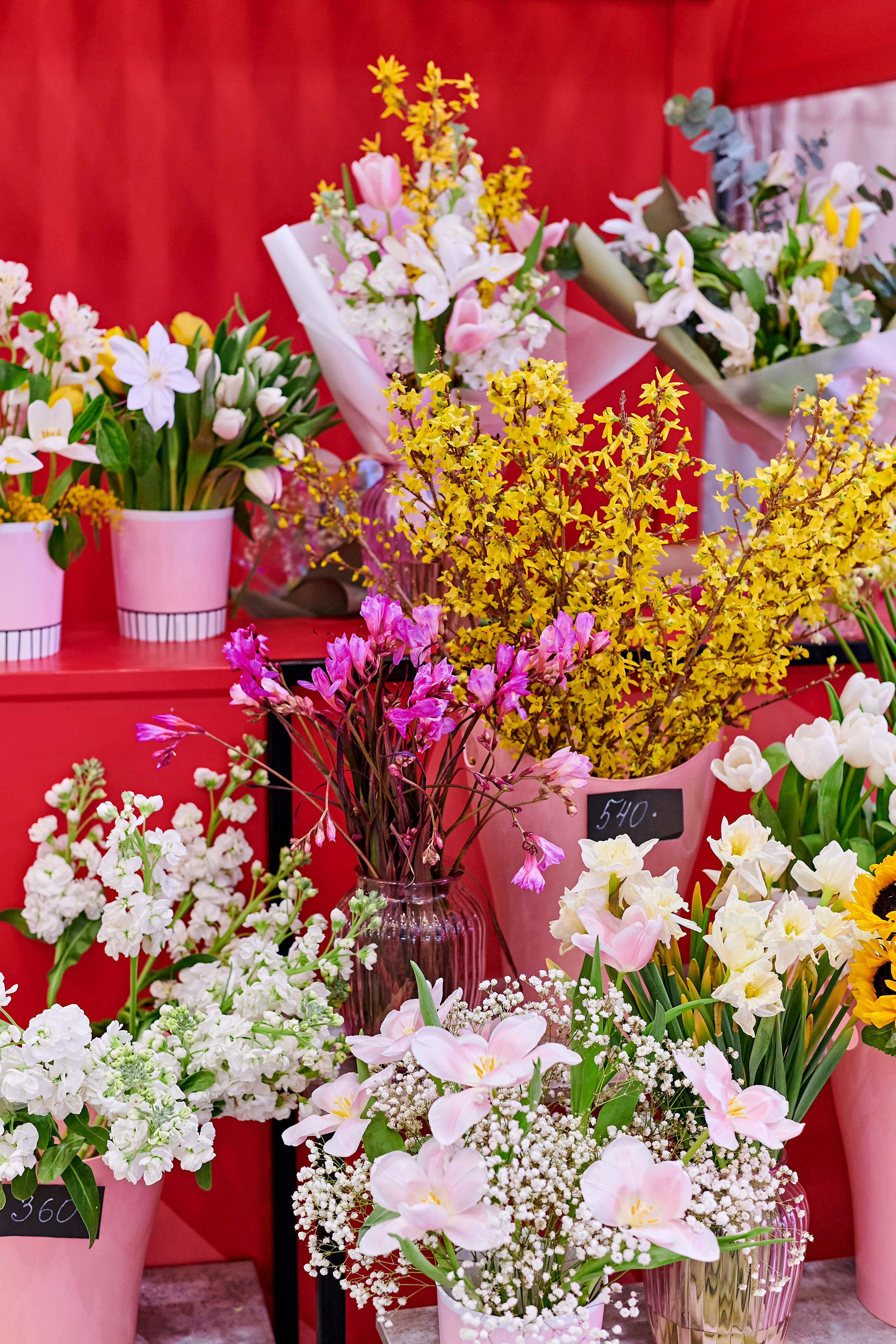 Mega Beauty Day. Фотограф Постольник Дарья