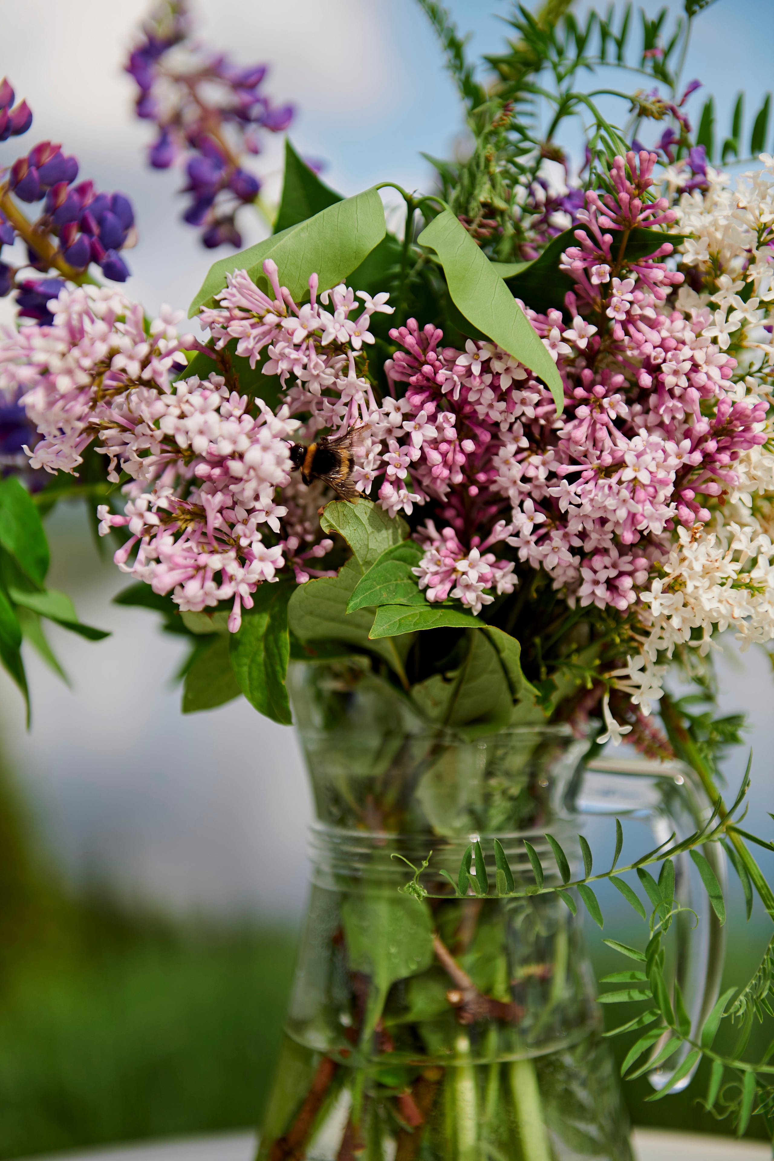 Летний ужин на природе с тремя шефами. Фотограф Постольник Дарья