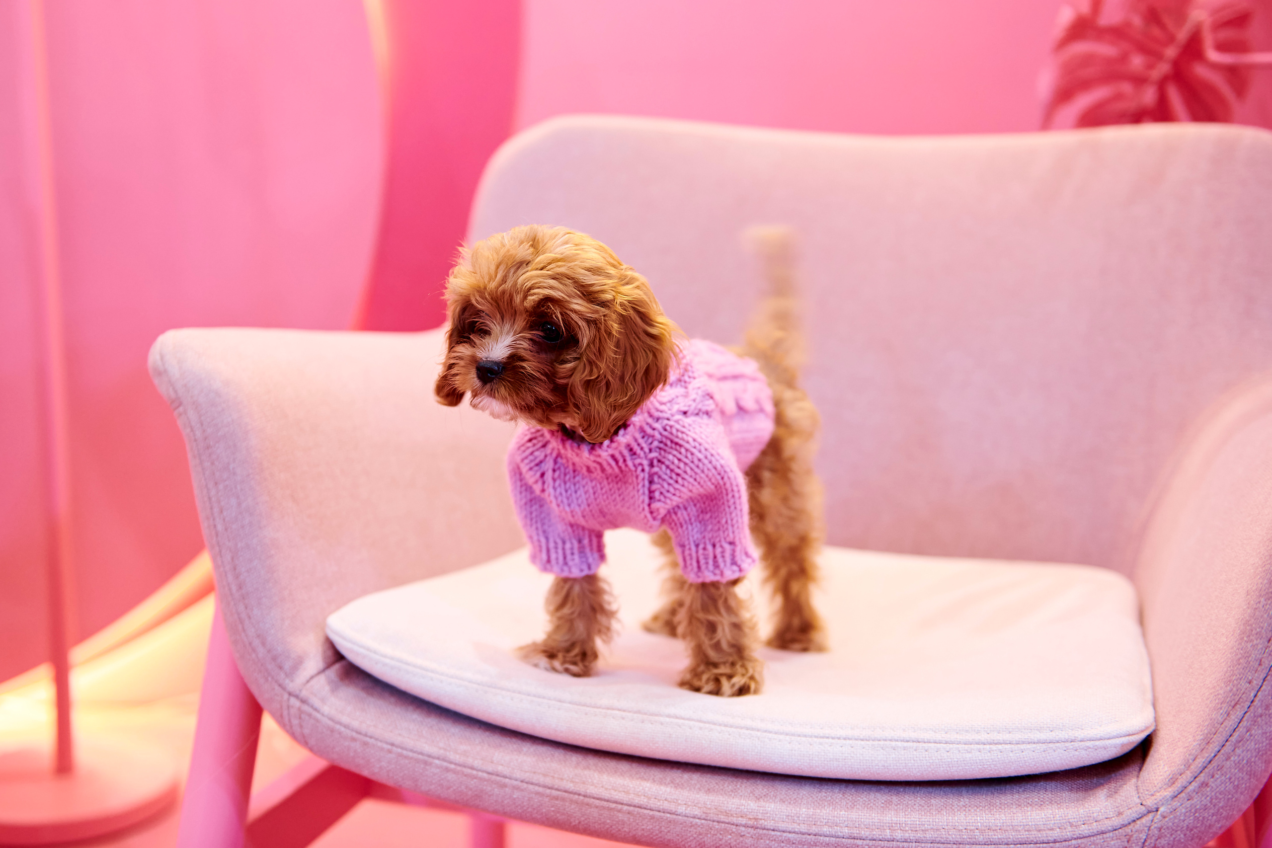 Mega Beauty Day. Фотограф Постольник Дарья