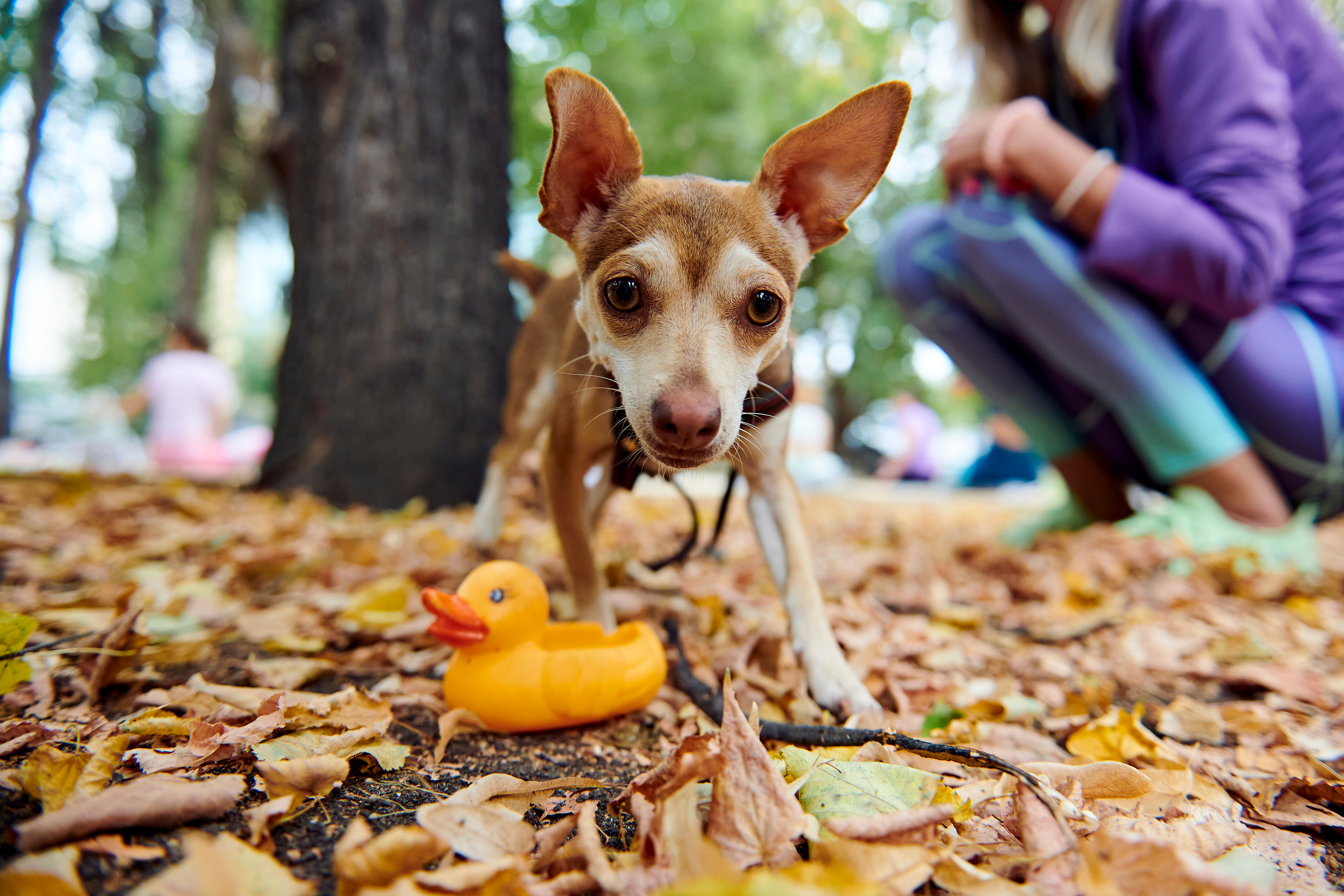Первый SUMMER FEST by OneLoft. Фотограф Постольник Дарья
