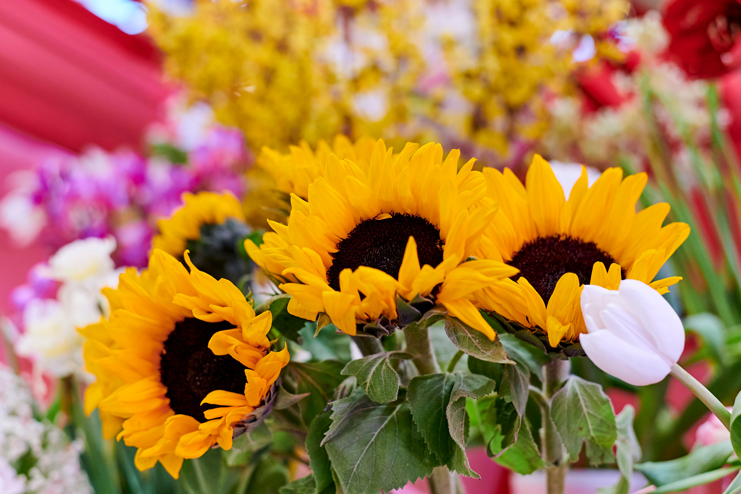 Mega Beauty Day. Фотограф Постольник Дарья