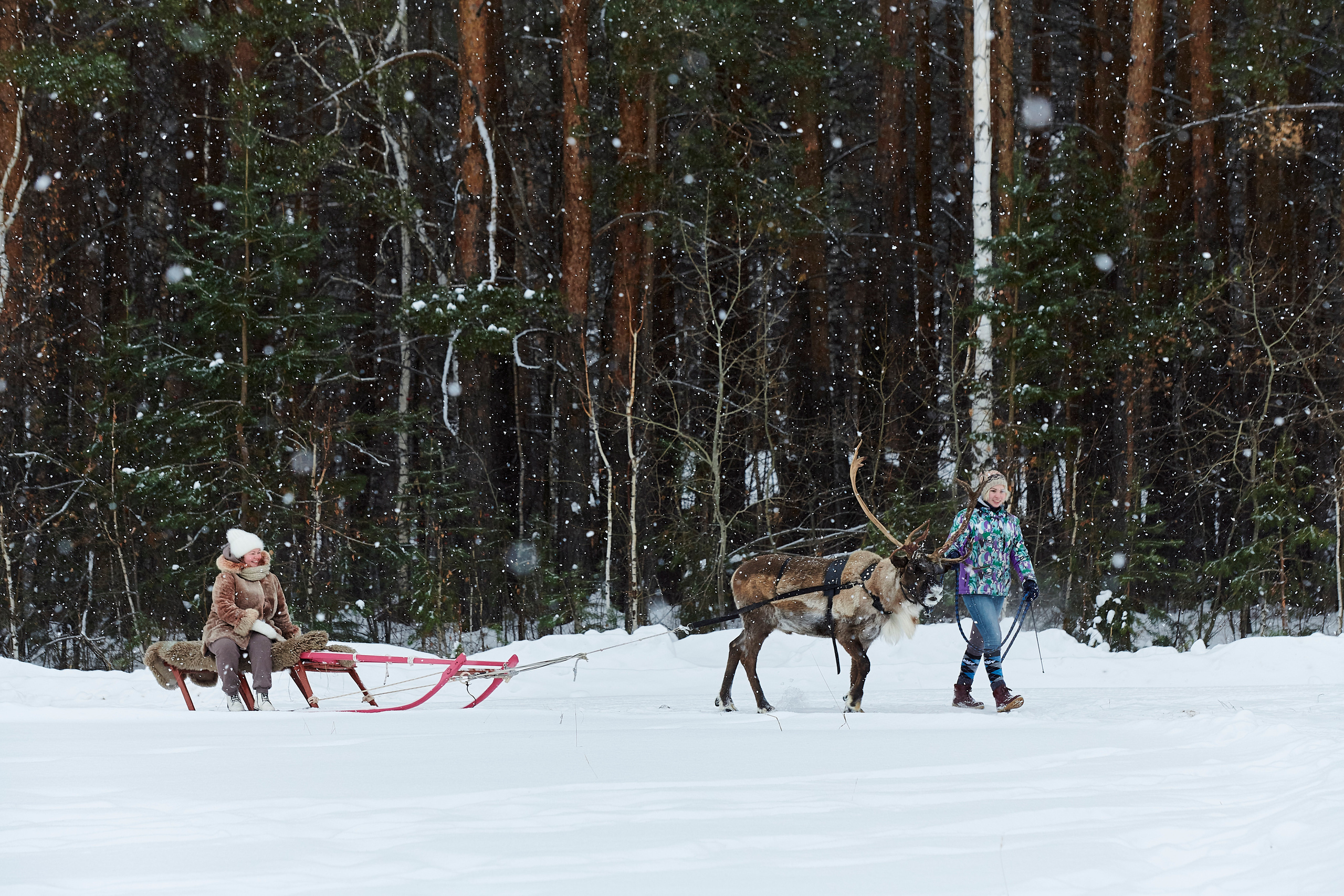 Зимний праздник для Нипигормаш. Фотограф Постольник Дарья