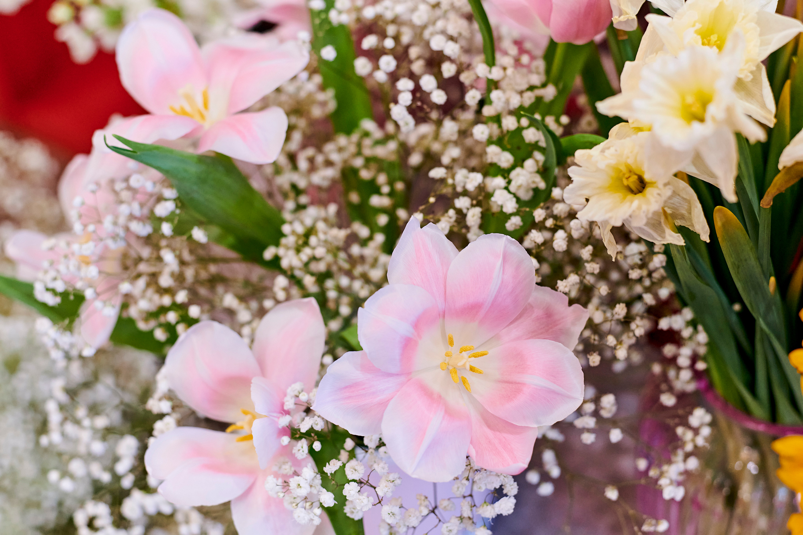 Mega Beauty Day. Фотограф Постольник Дарья